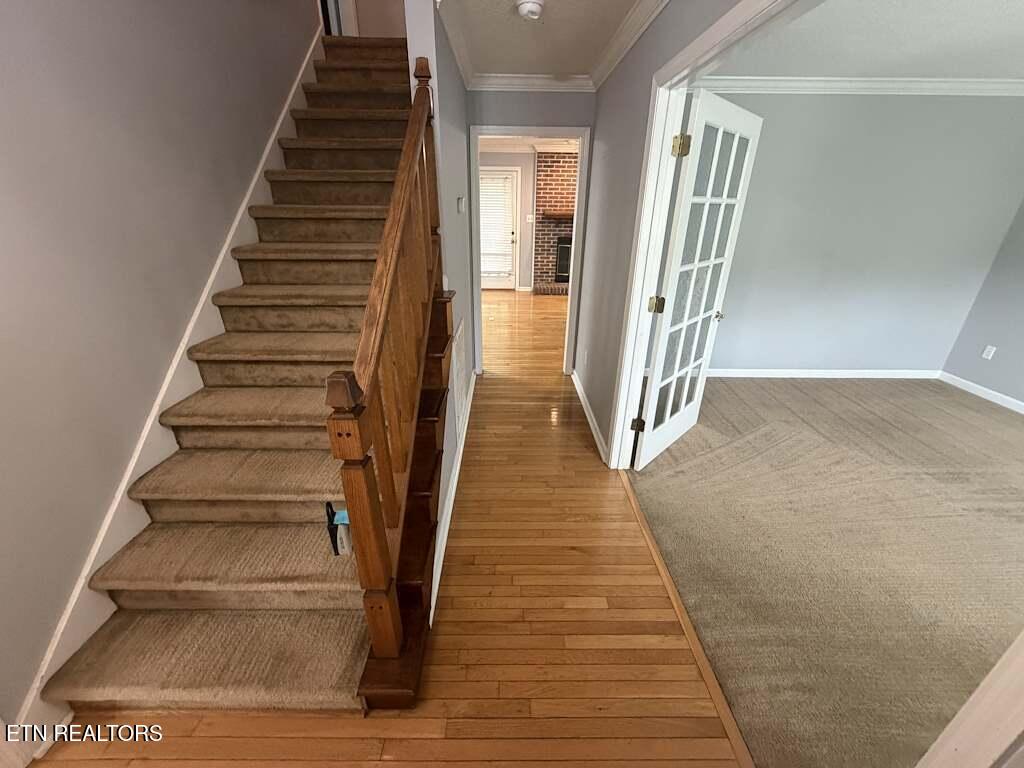 1209 Halifax Road Knoxville TN 37922