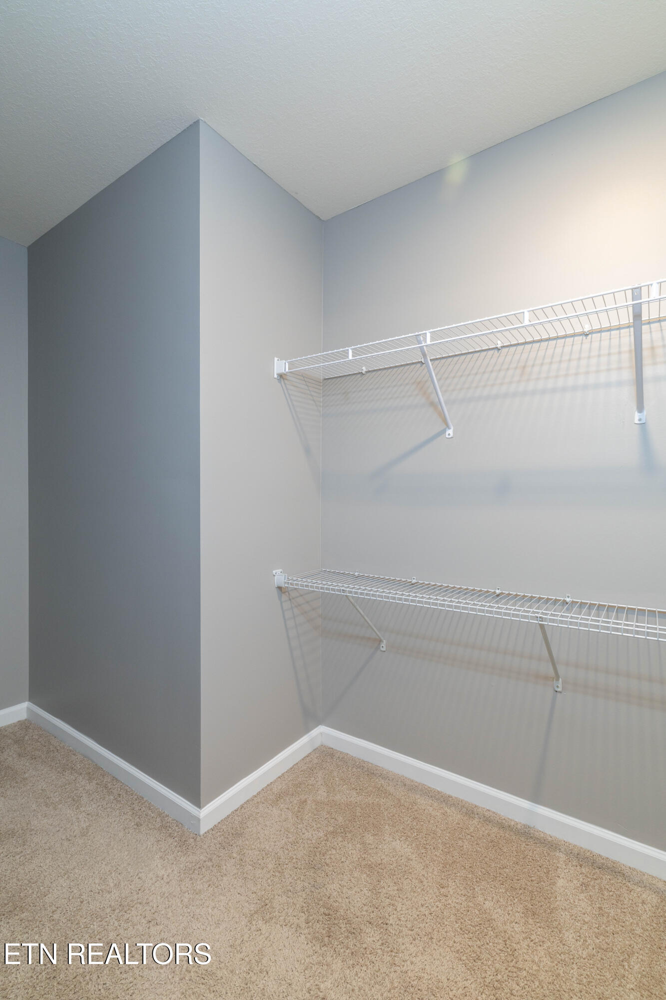4420 Blackberry Trellis Lane Knoxville TN 37938