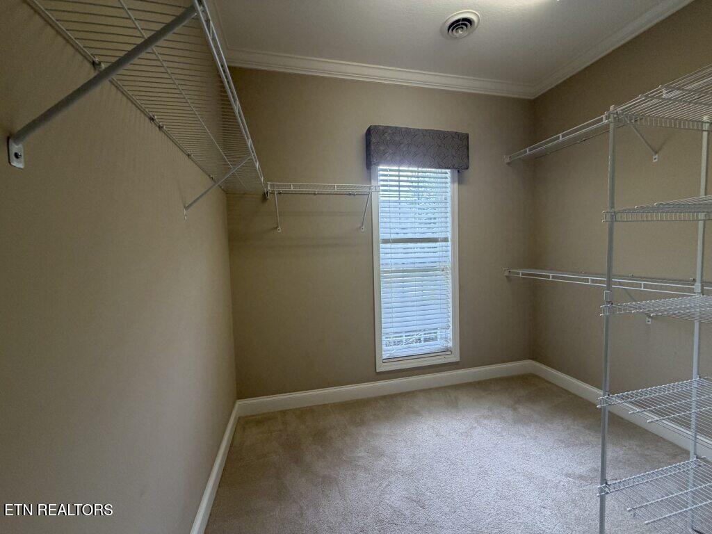 4601 Ivy Rose Knoxville TN 37918