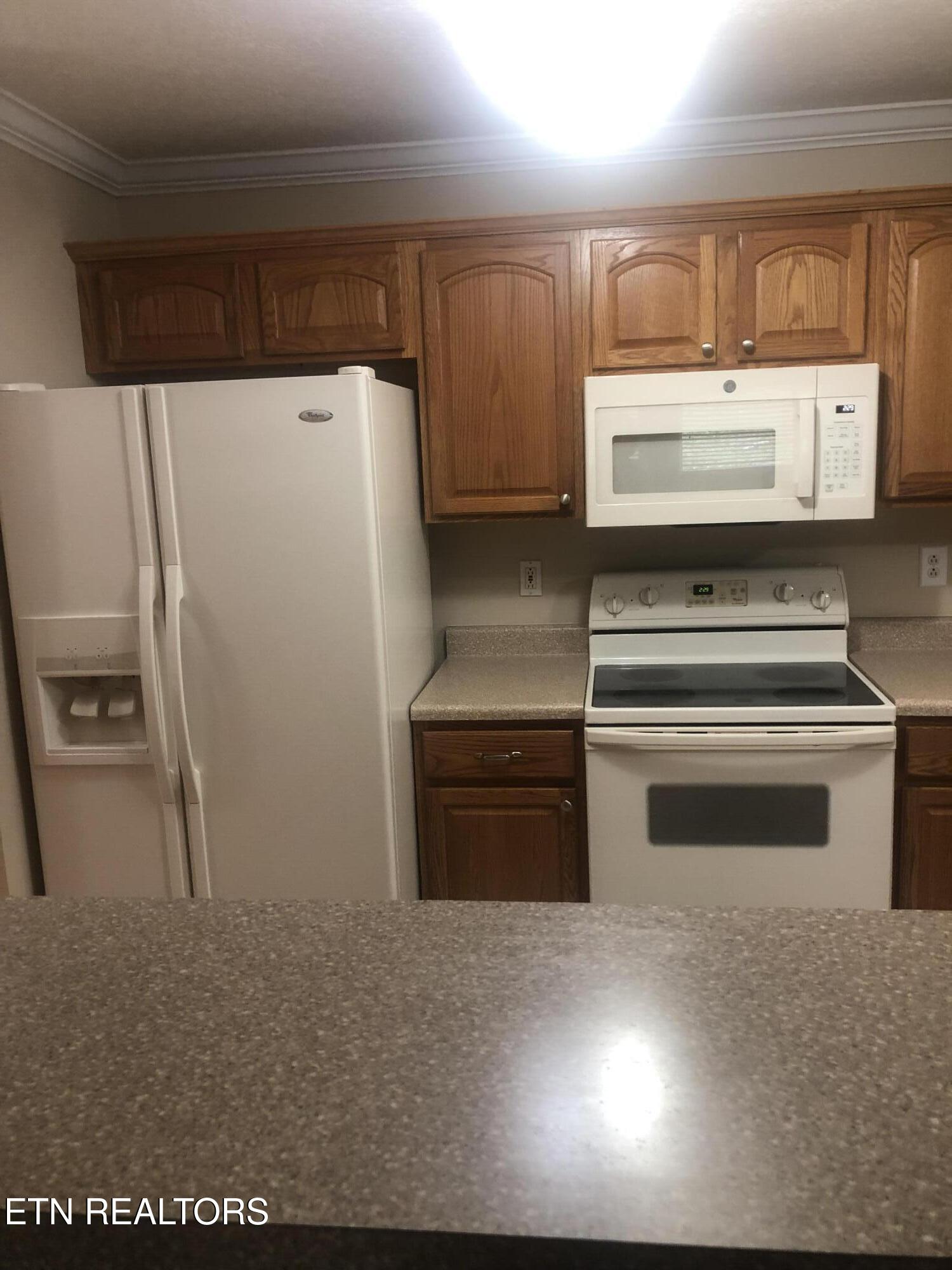 13 Ridgeway Road Norris TN 37828
