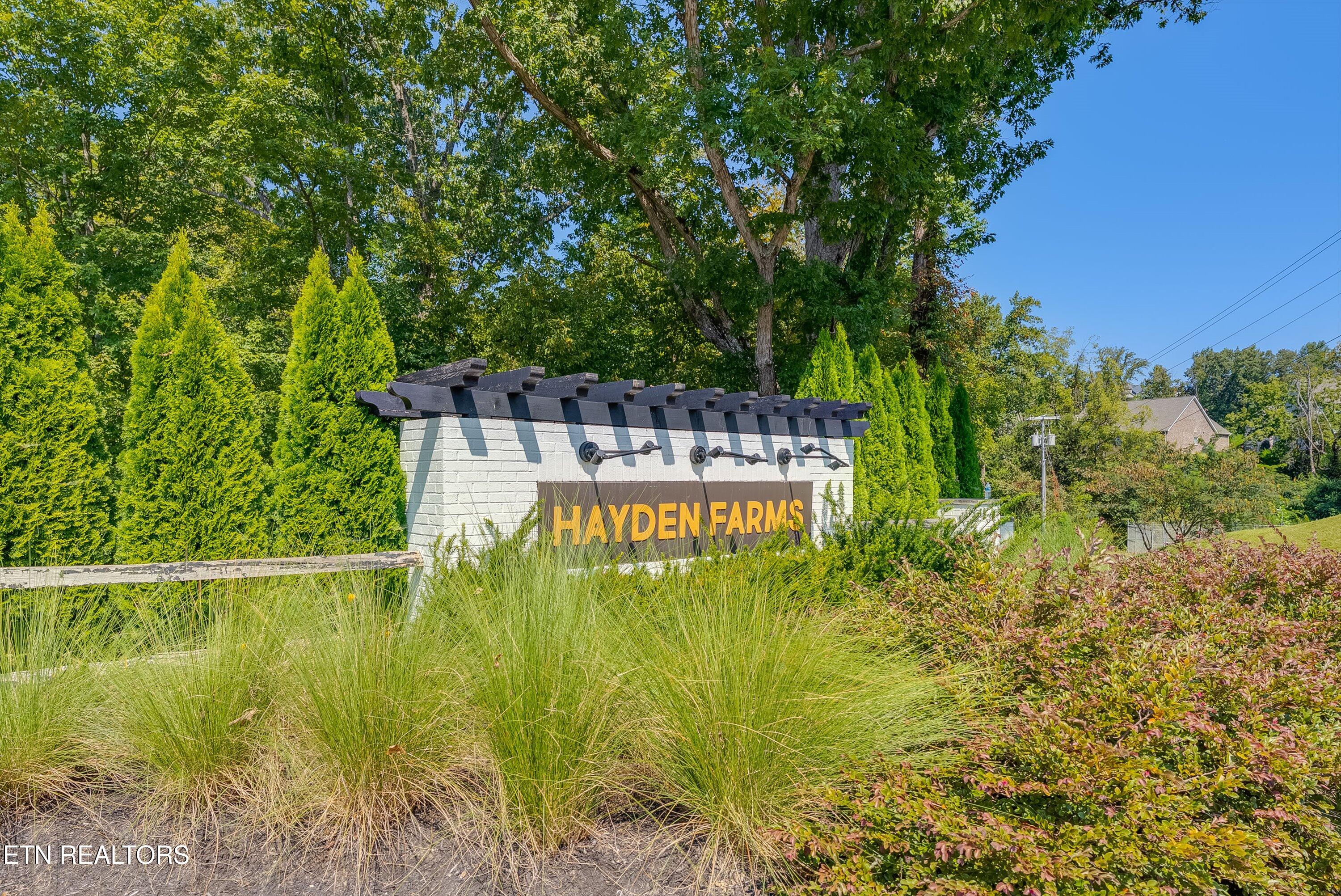 11317 Flame Willow Lane Knoxville TN 37932