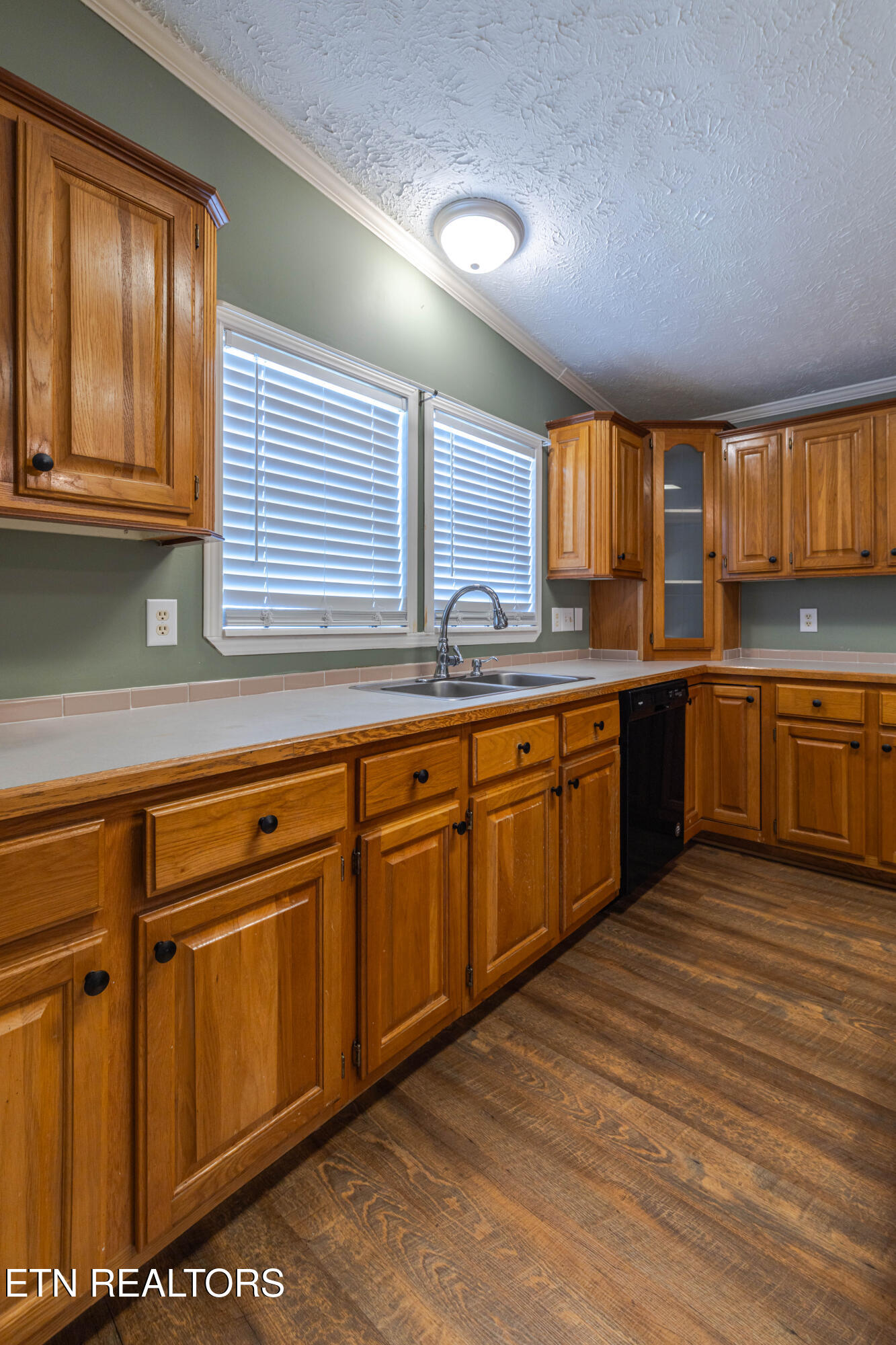 1322 Silver Charm Way Sevierville TN 37876