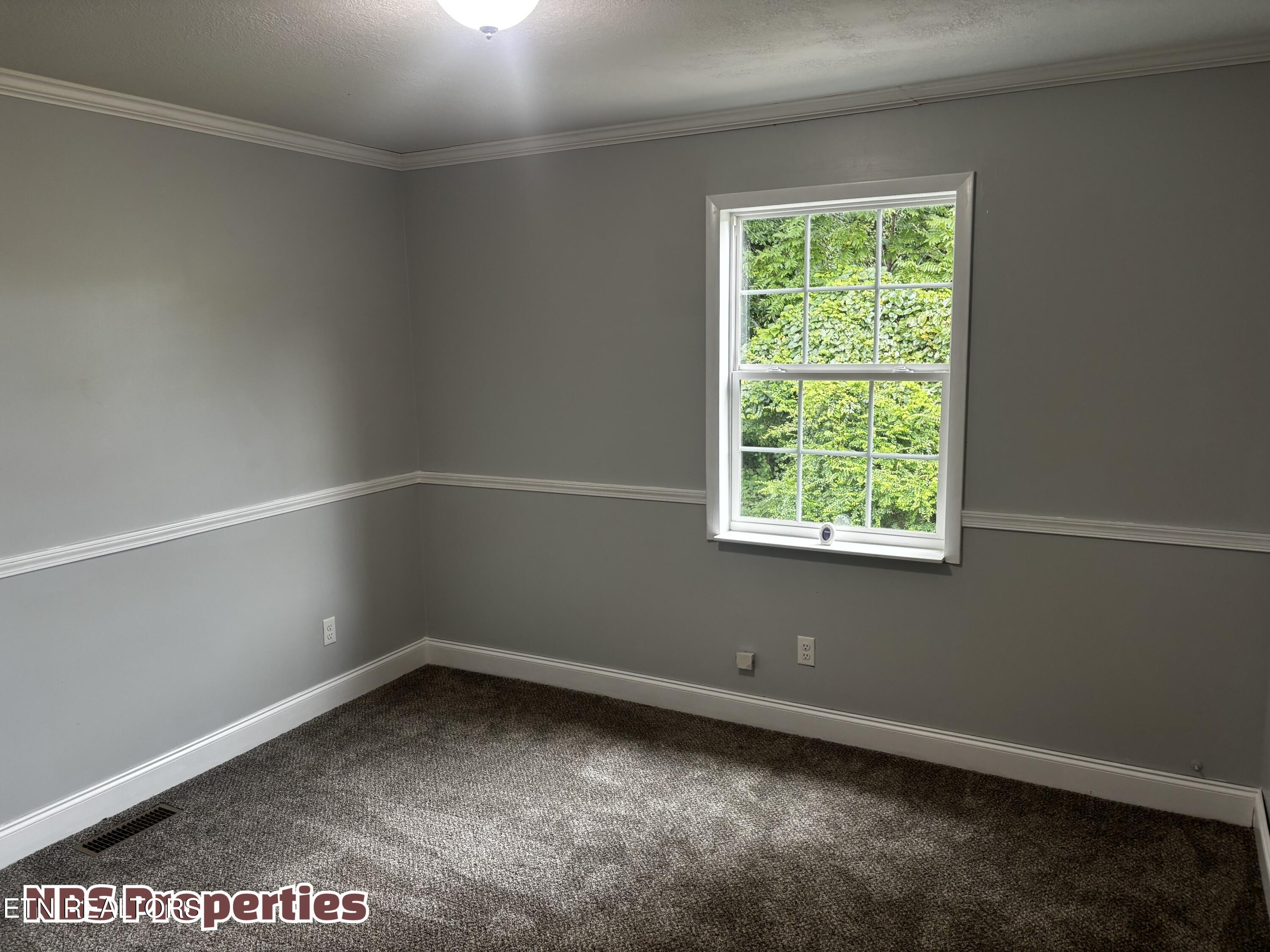 143 Mccully Lane Rocky Top TN 37769