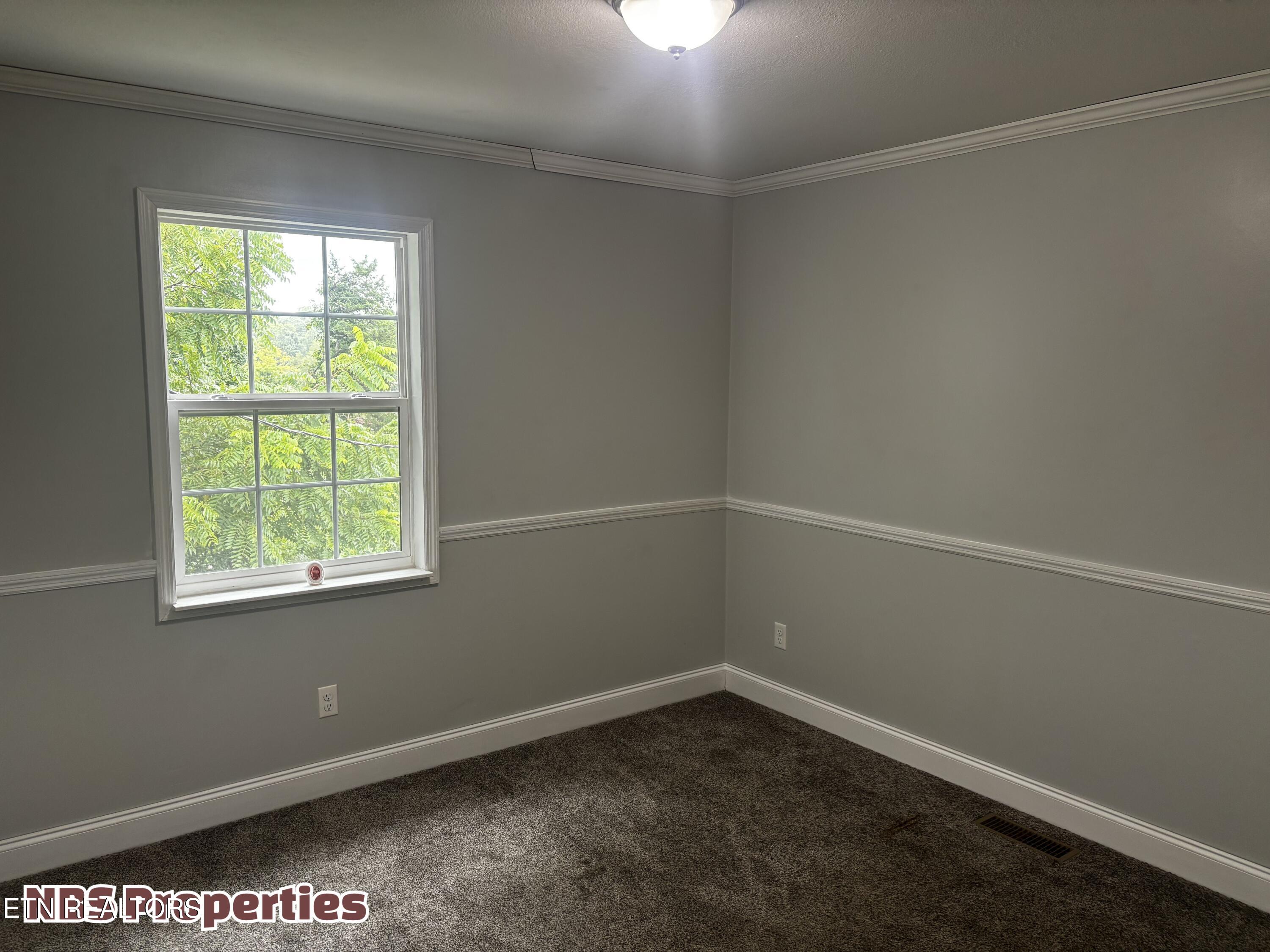 143 Mccully Lane Rocky Top TN 37769