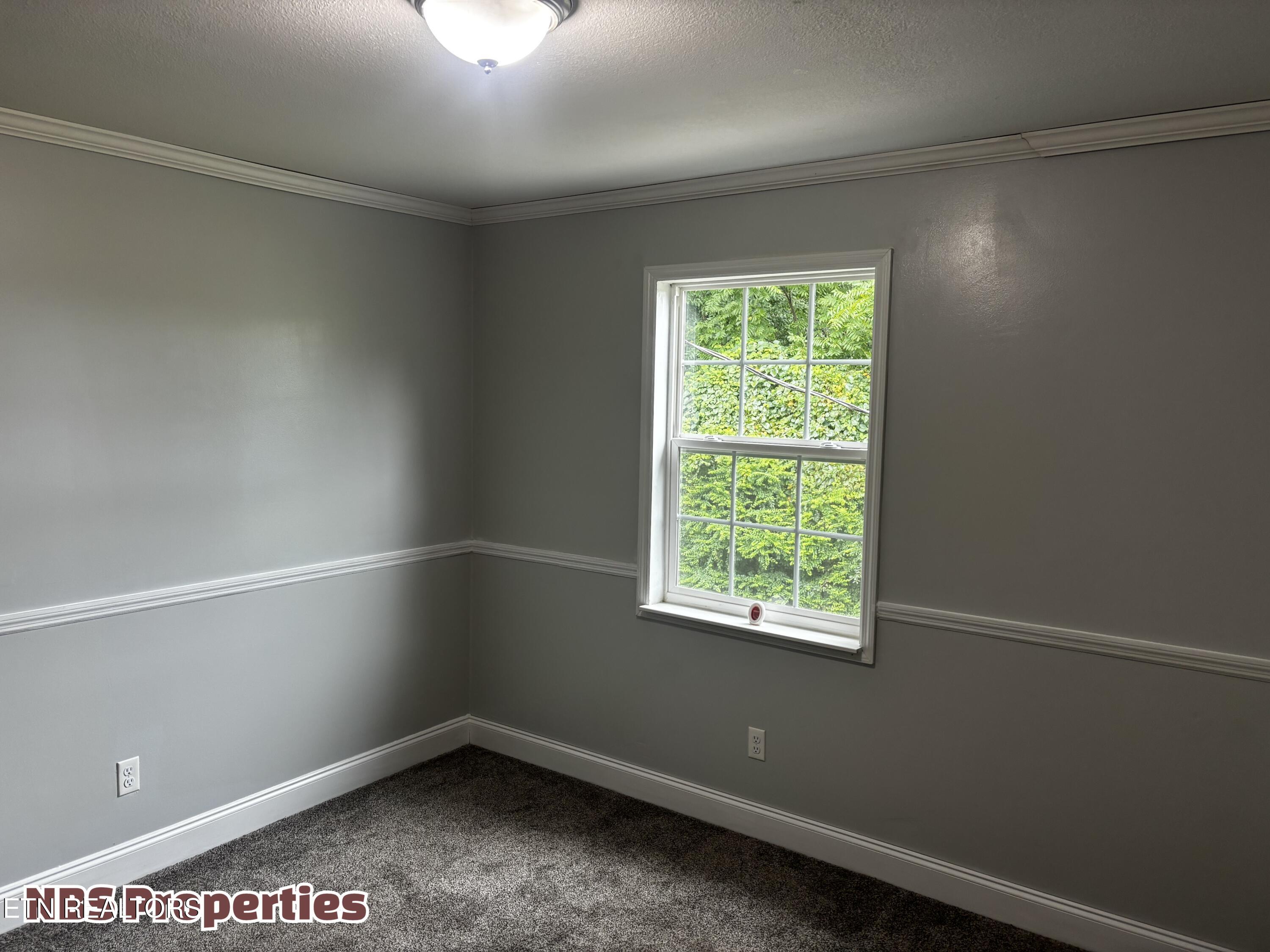 143 Mccully Lane Rocky Top TN 37769