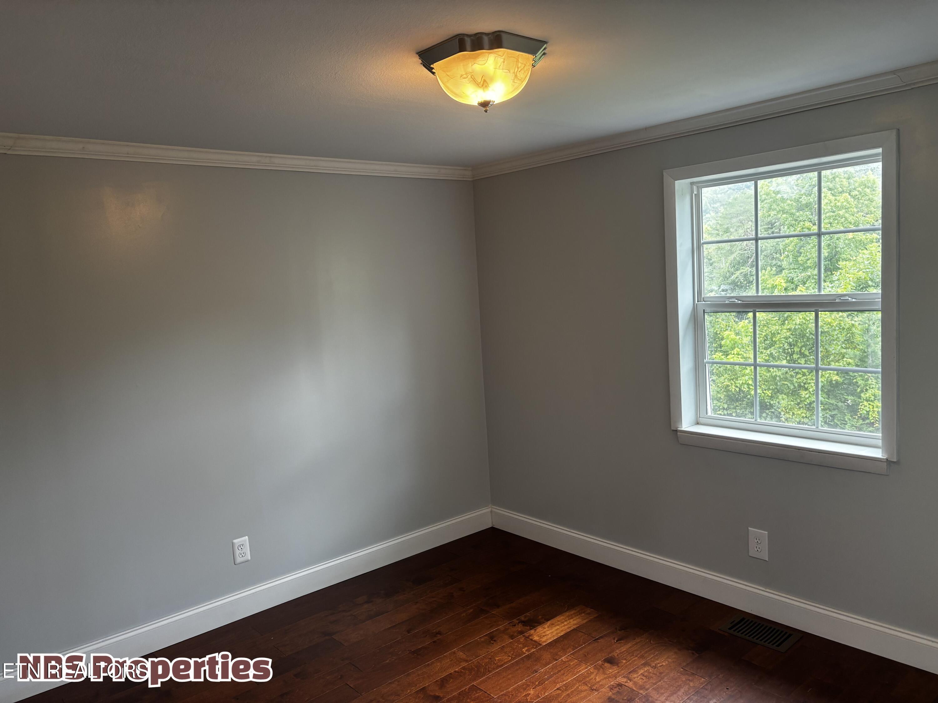 143 Mccully Lane Rocky Top TN 37769