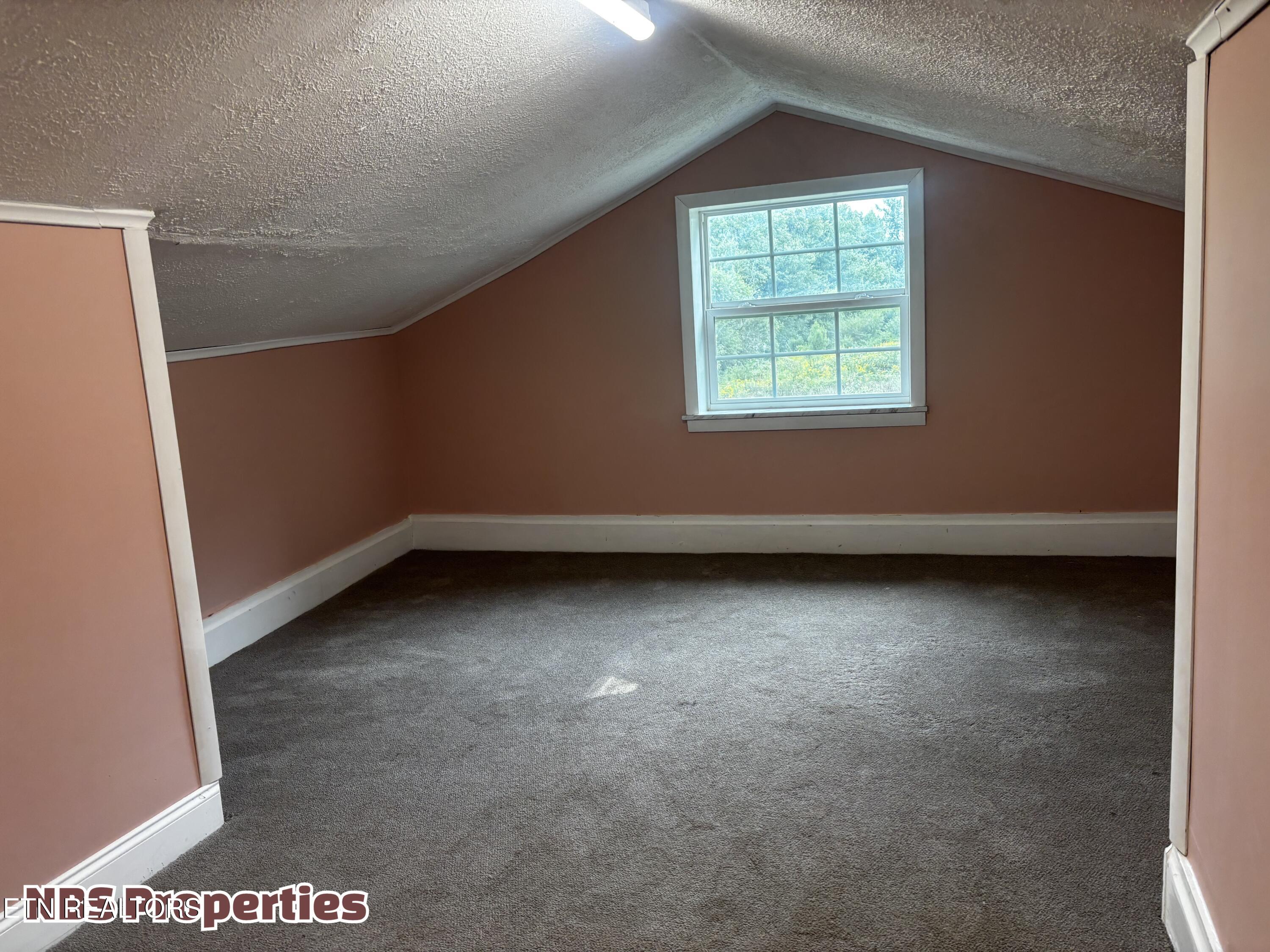143 Mccully Lane Rocky Top TN 37769