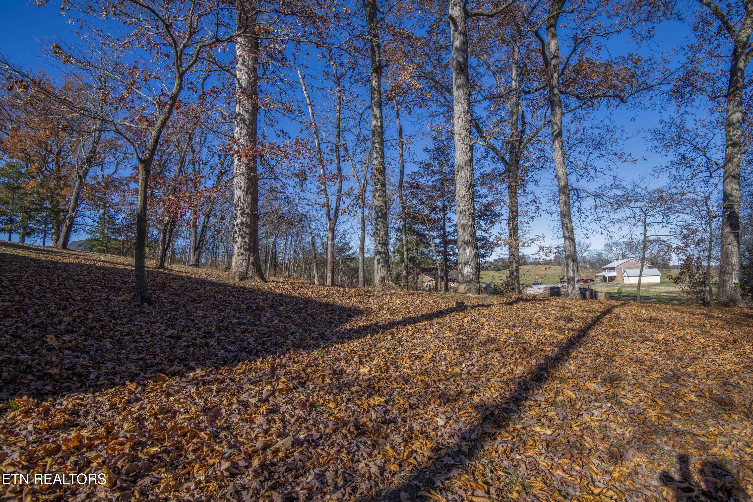 1421 Briarwood Drive Sevierville TN 37876