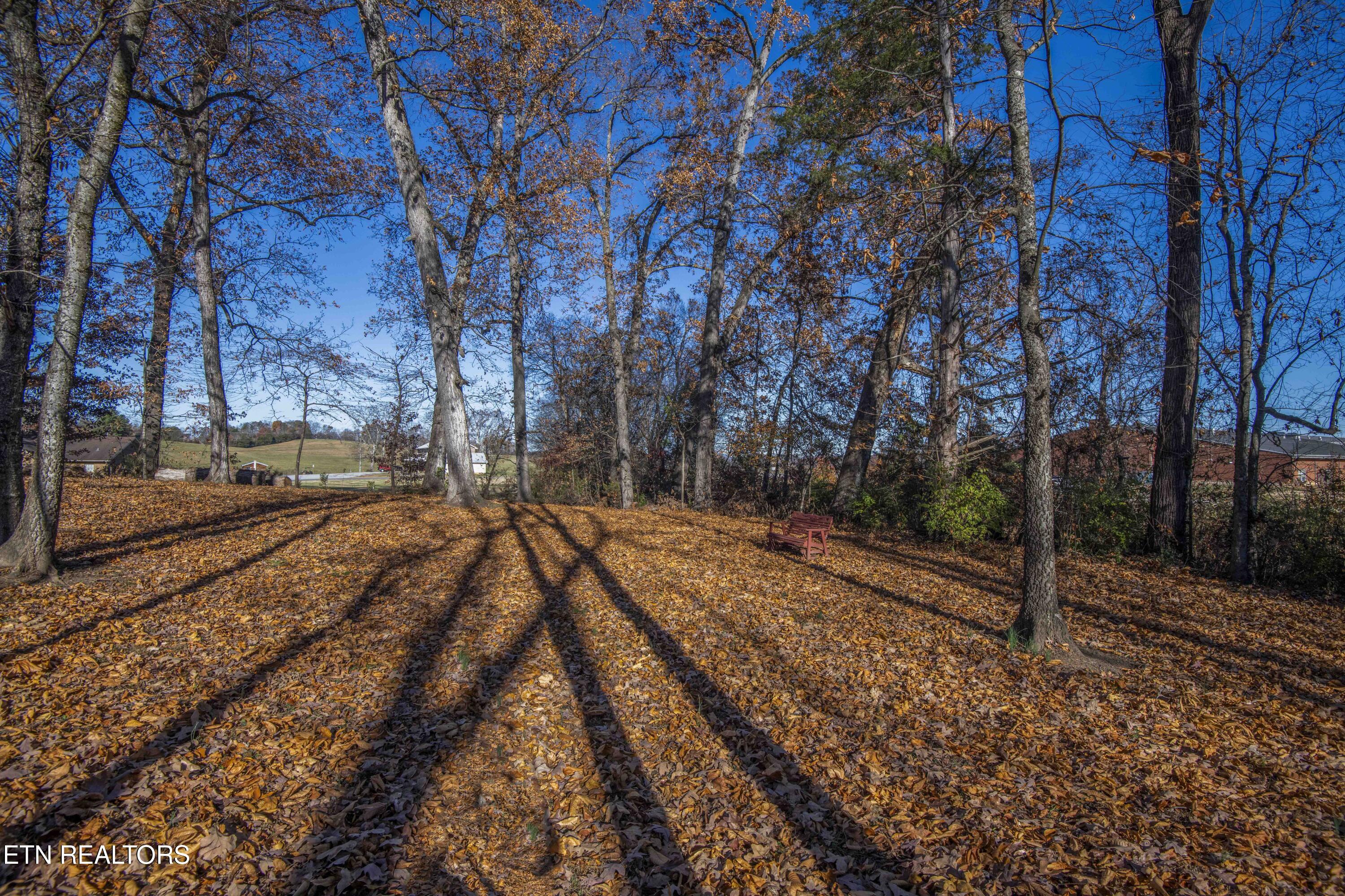 1421 Briarwood Drive Sevierville TN 37876