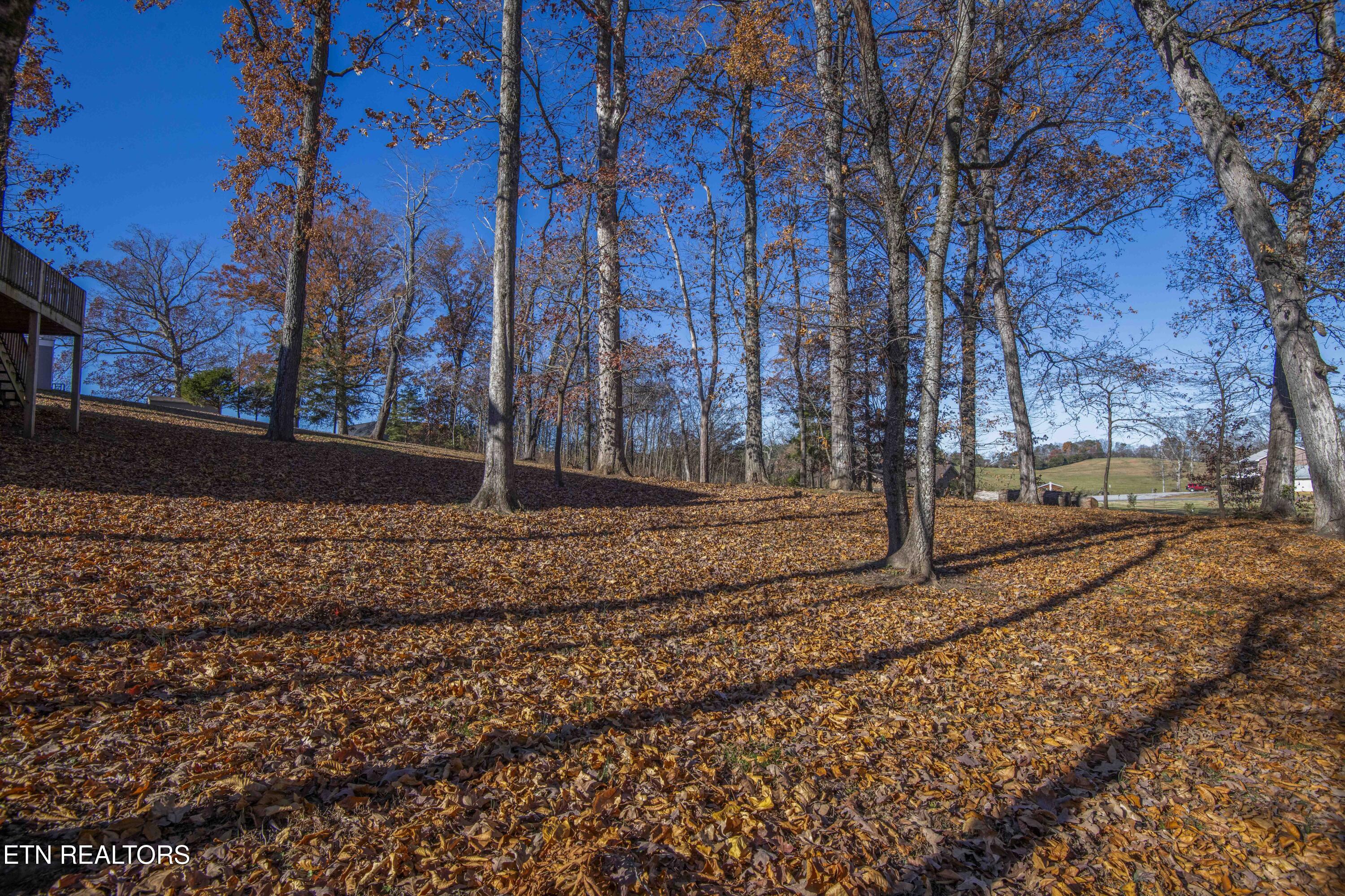 1421 Briarwood Drive Sevierville TN 37876