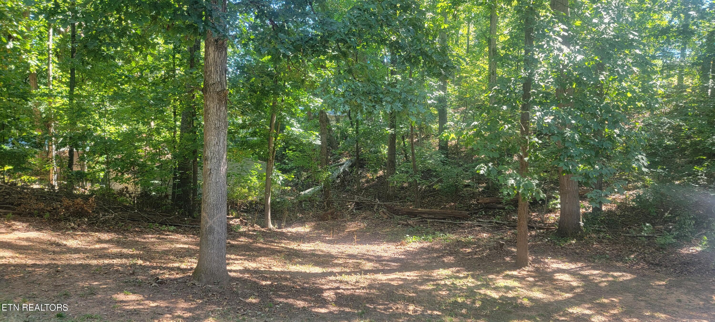 710 Dailey Avenue Loudon TN 37774