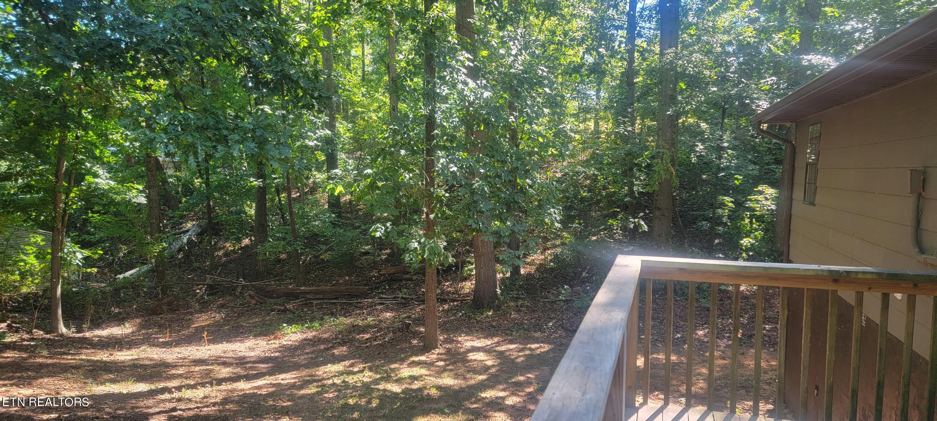 710 Dailey Avenue Loudon TN 37774