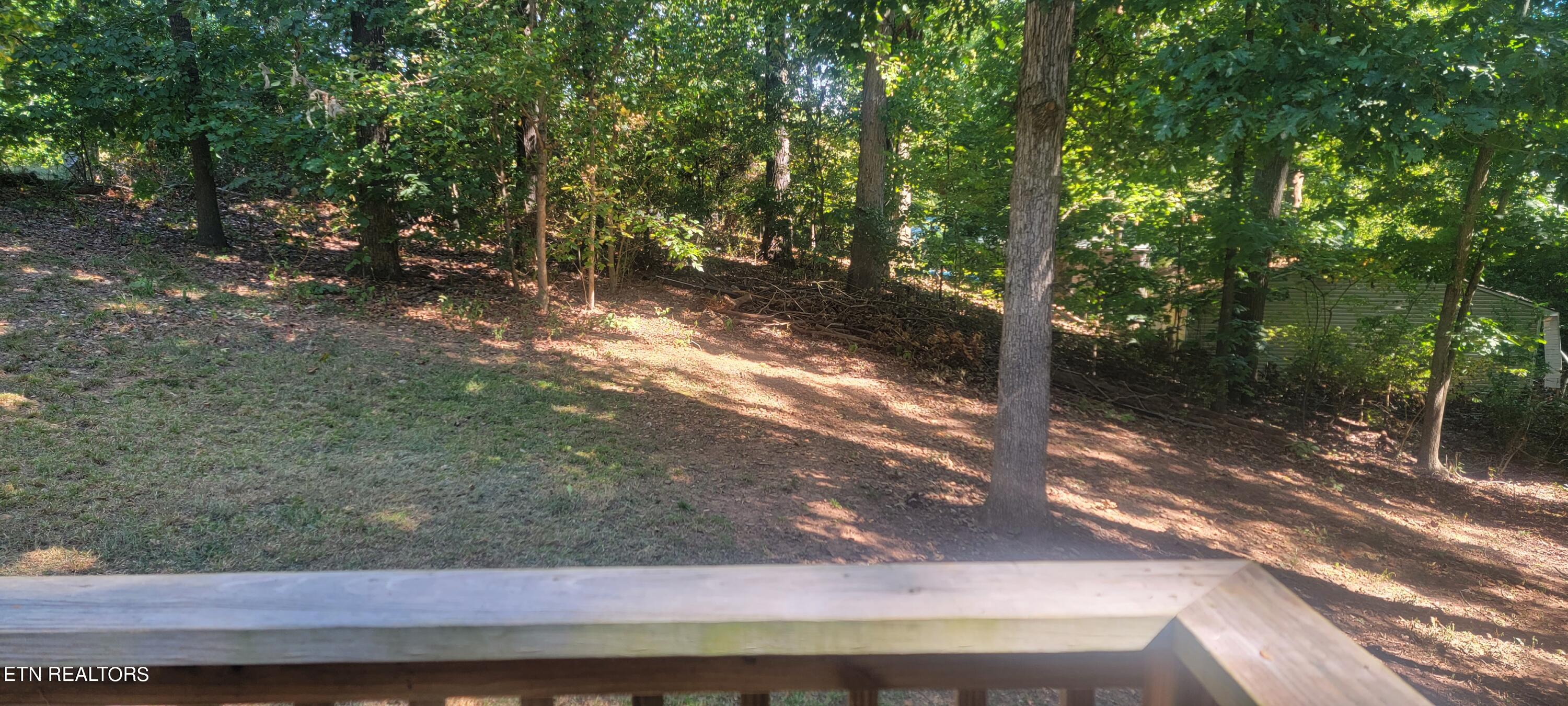 710 Dailey Avenue Loudon TN 37774