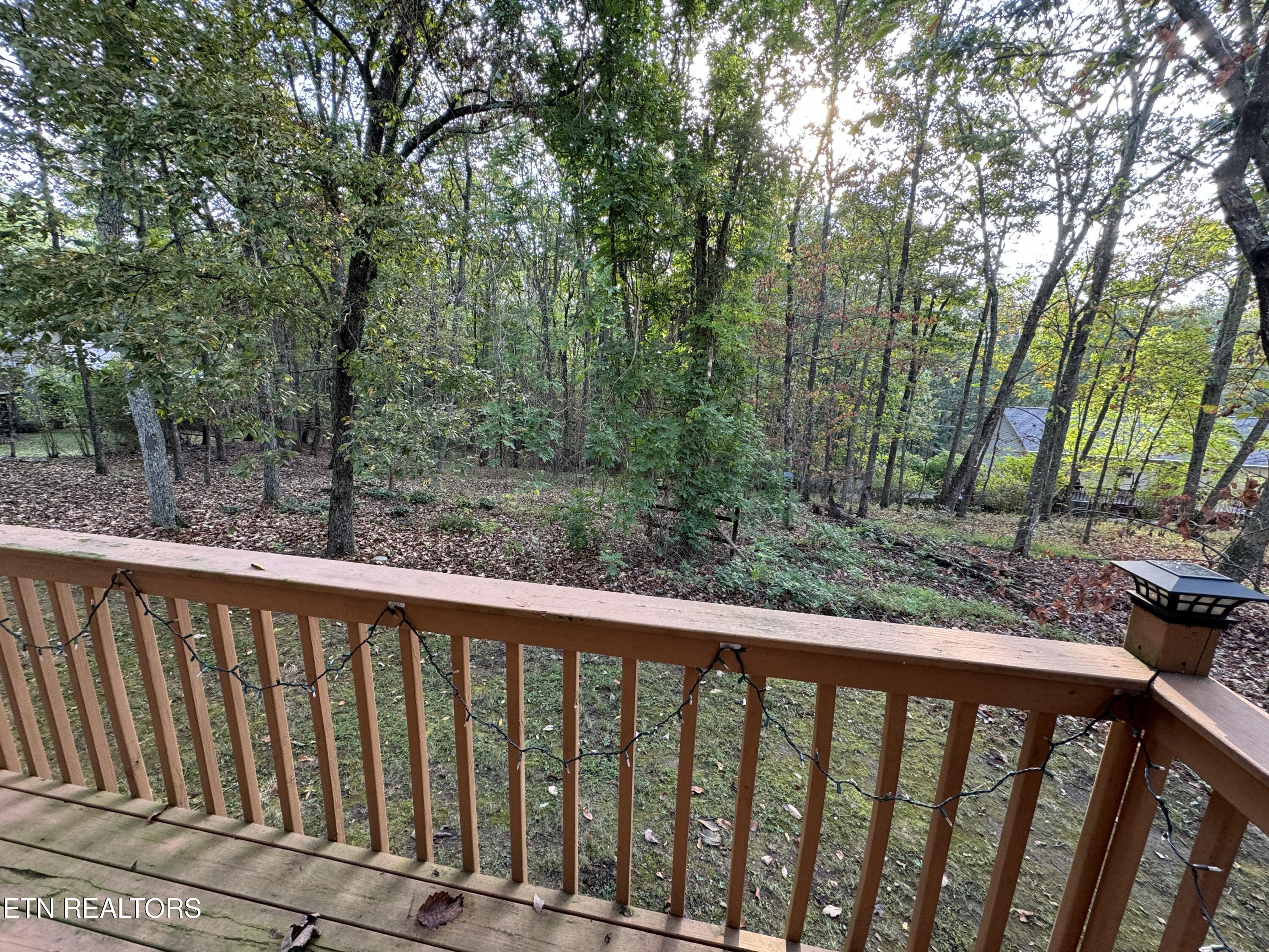 234 Amherst Lane Fairfield Glade TN 38558