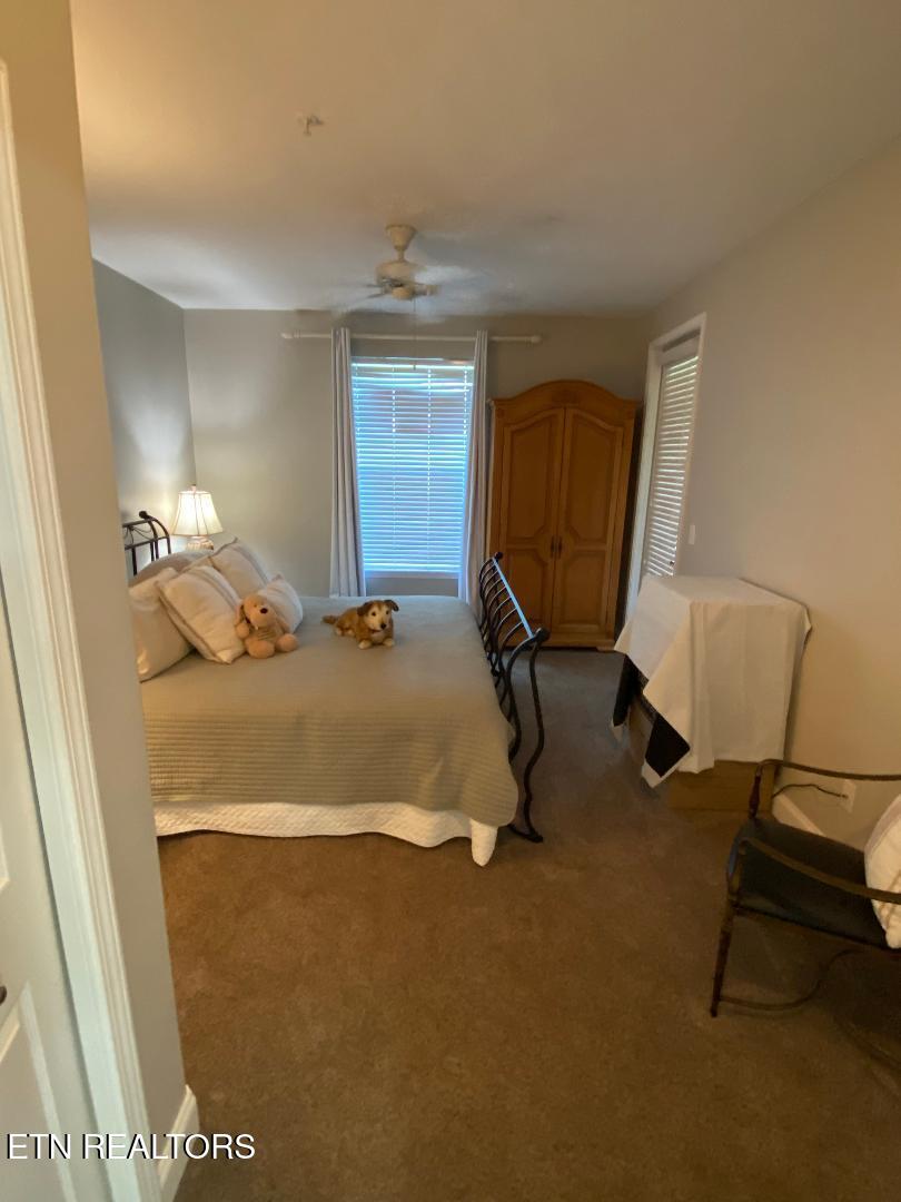 545 Rarity Bay Parkway Vonore TN 37885