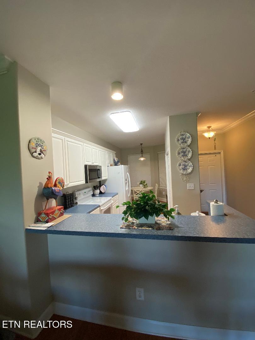545 Rarity Bay Parkway Vonore TN 37885