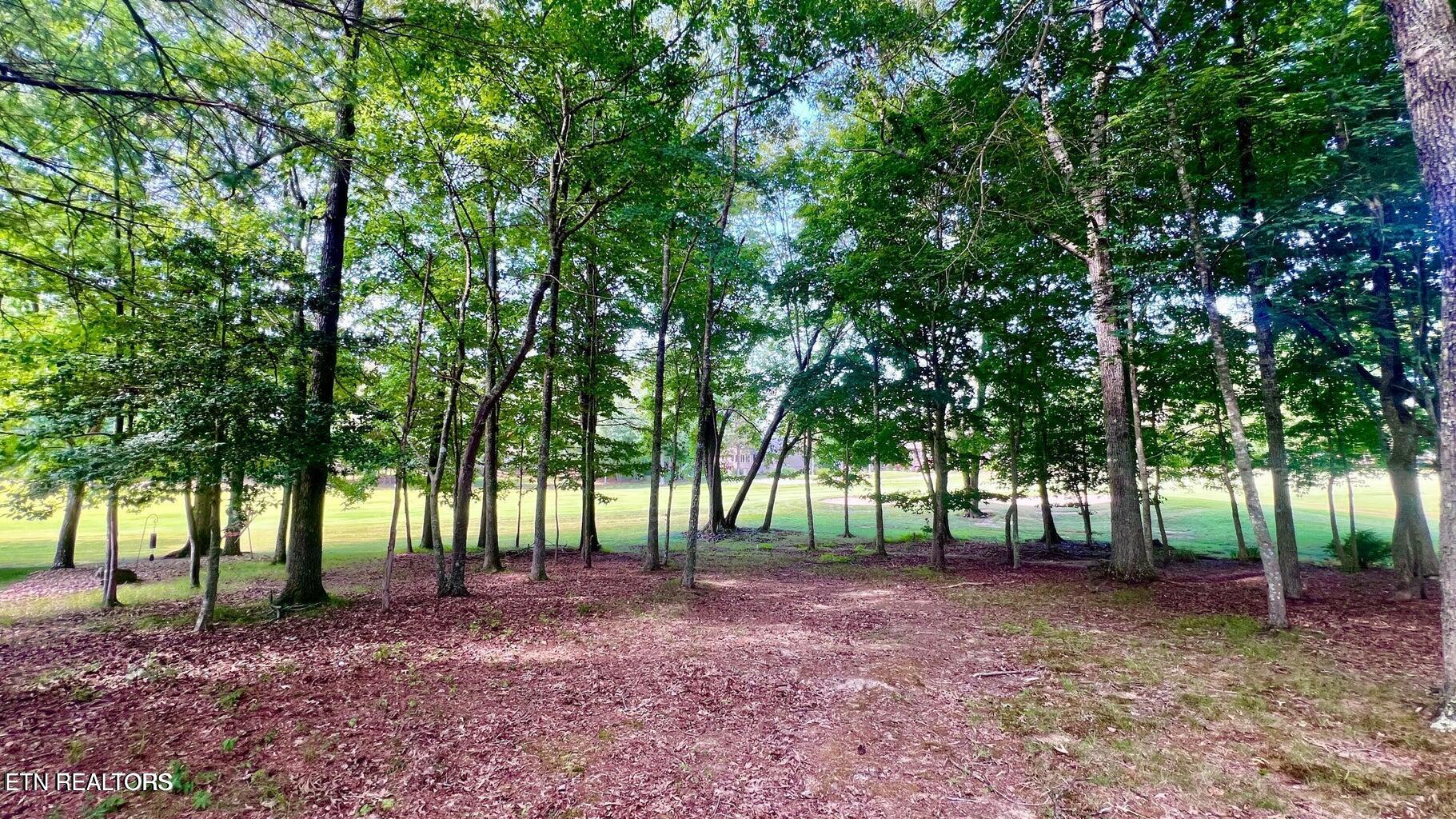 39 Leaf Circle Crossville TN 38558