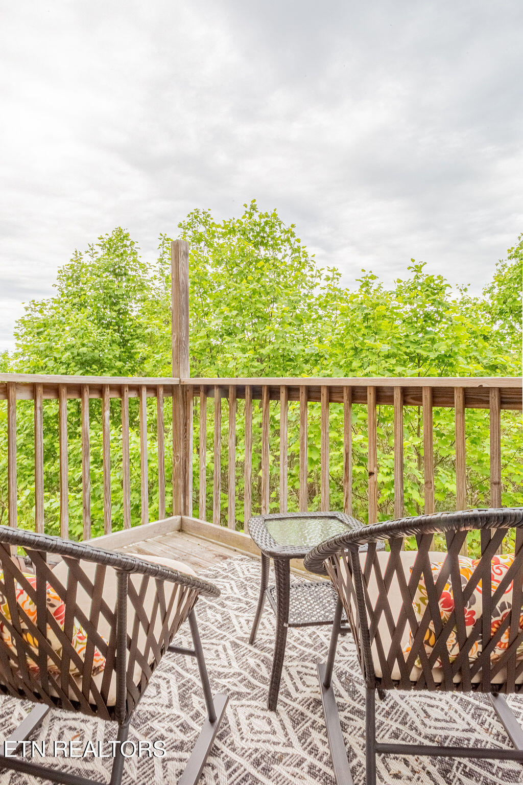 3933 Dollys Drive Sevierville TN 37876