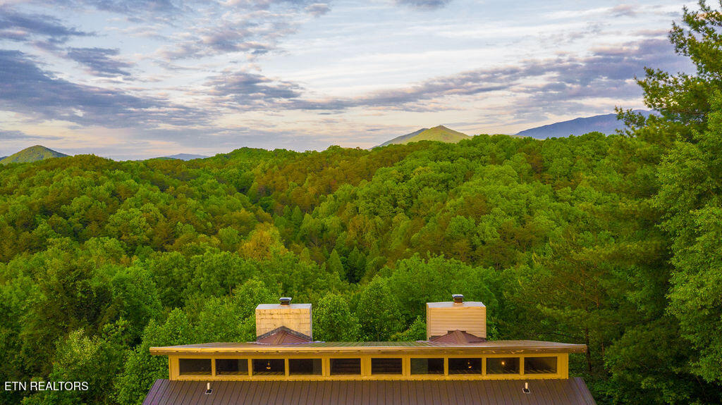 3933 Dollys Drive Sevierville TN 37876