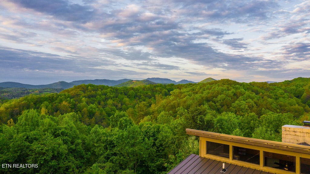 3933 Dollys Drive Sevierville TN 37876