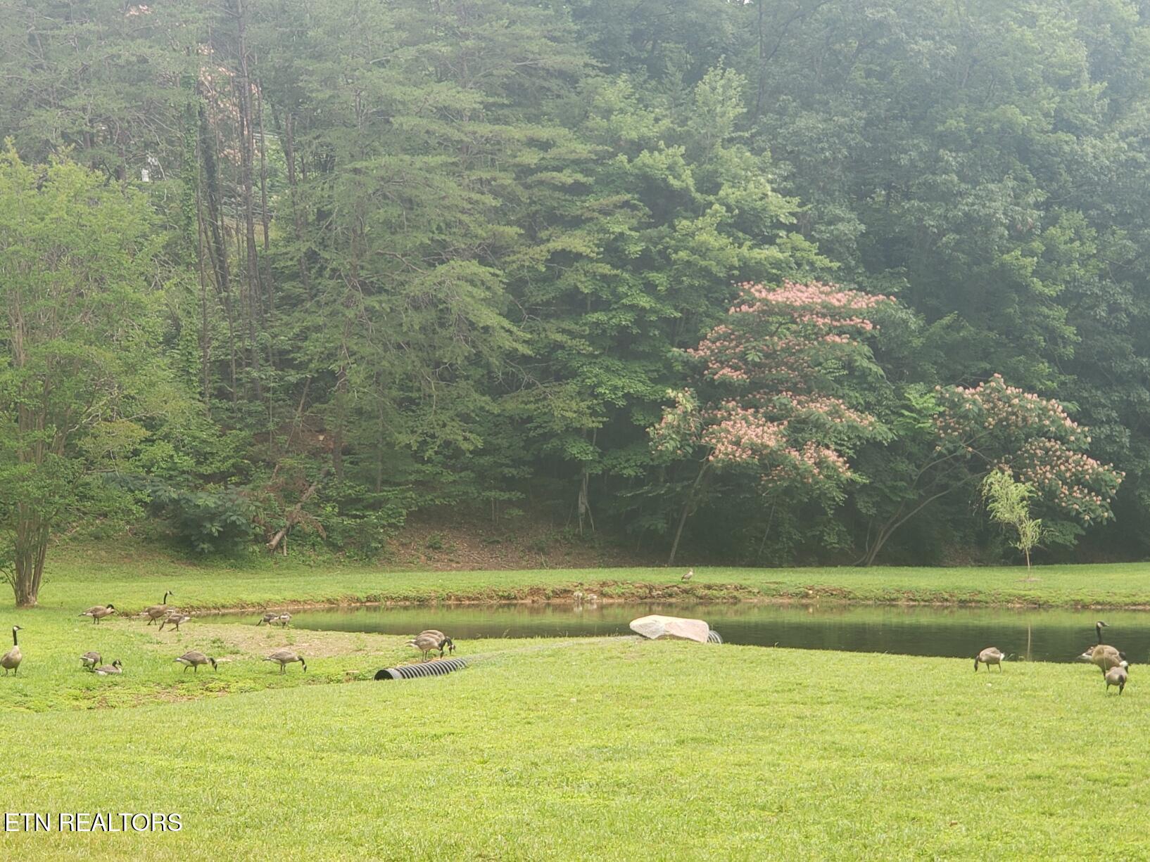 1110 S Spring Hollow Road Sevierville TN 37876