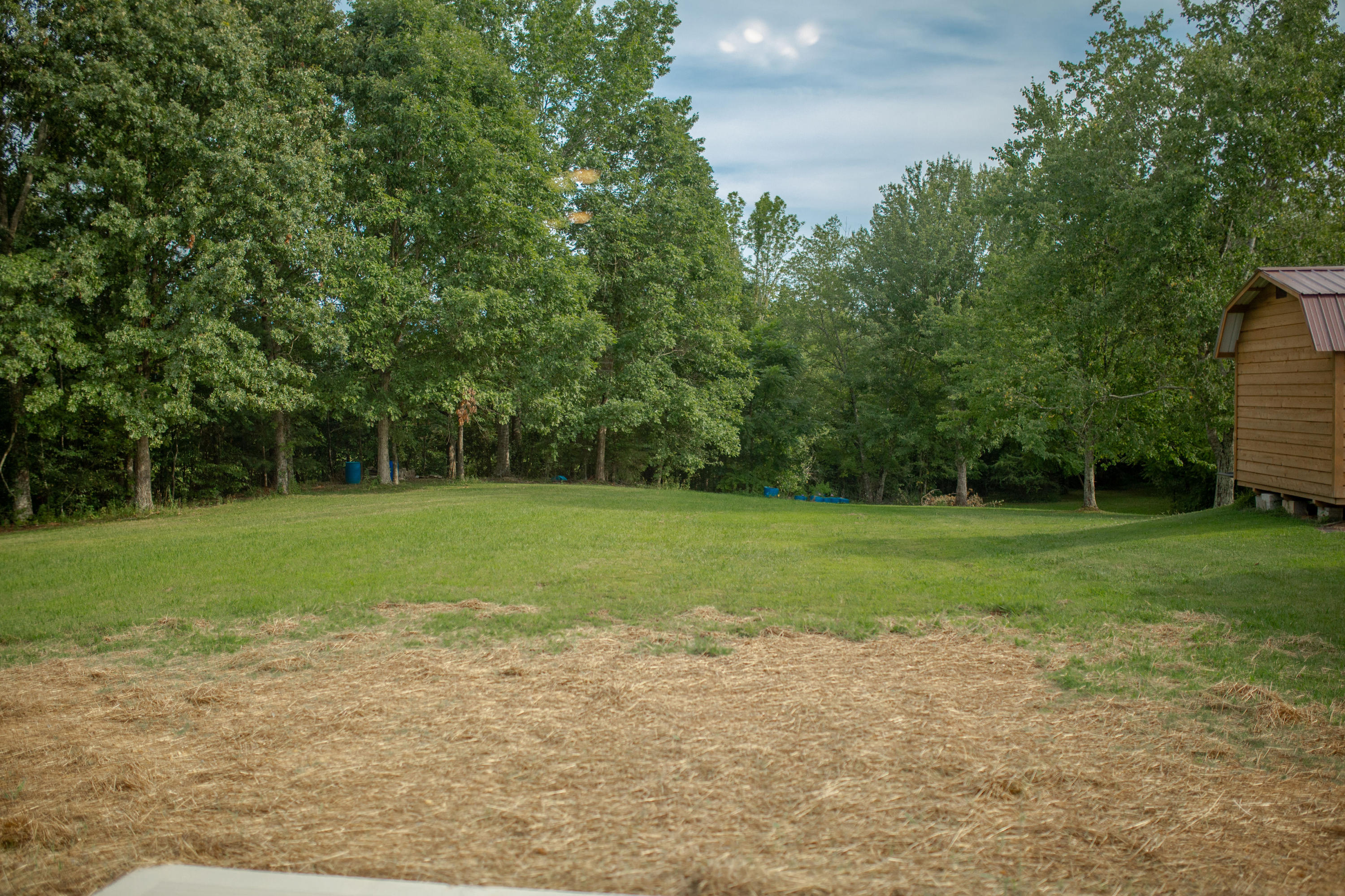 315 White Oak Drive Seymour TN 37865
