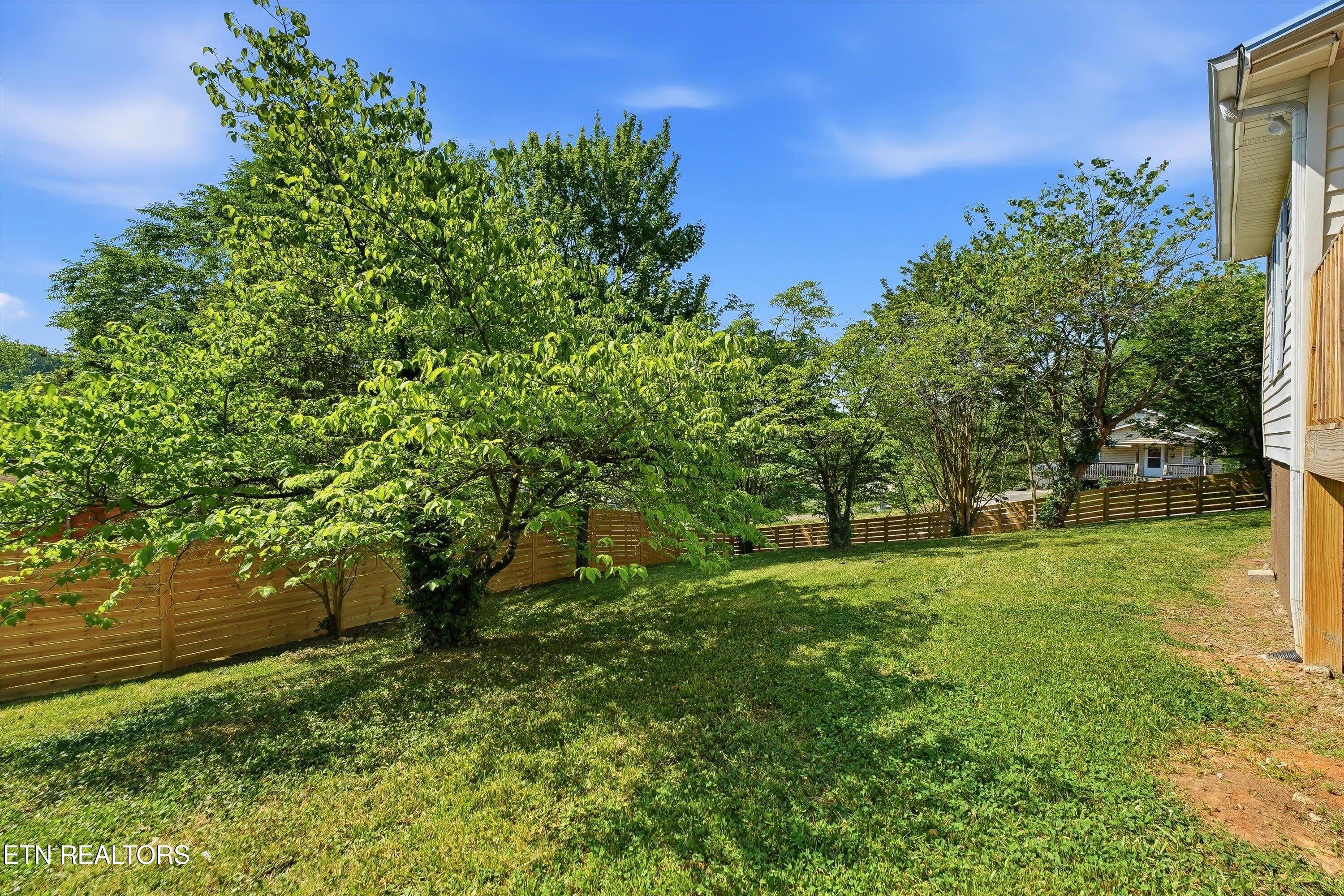 910 Reed Street Knoxville TN 37921