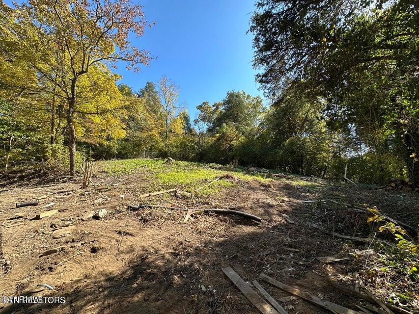 4021 Island Home Pike Knoxville TN 37920