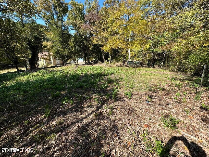 4021 Island Home Pike Knoxville TN 37920