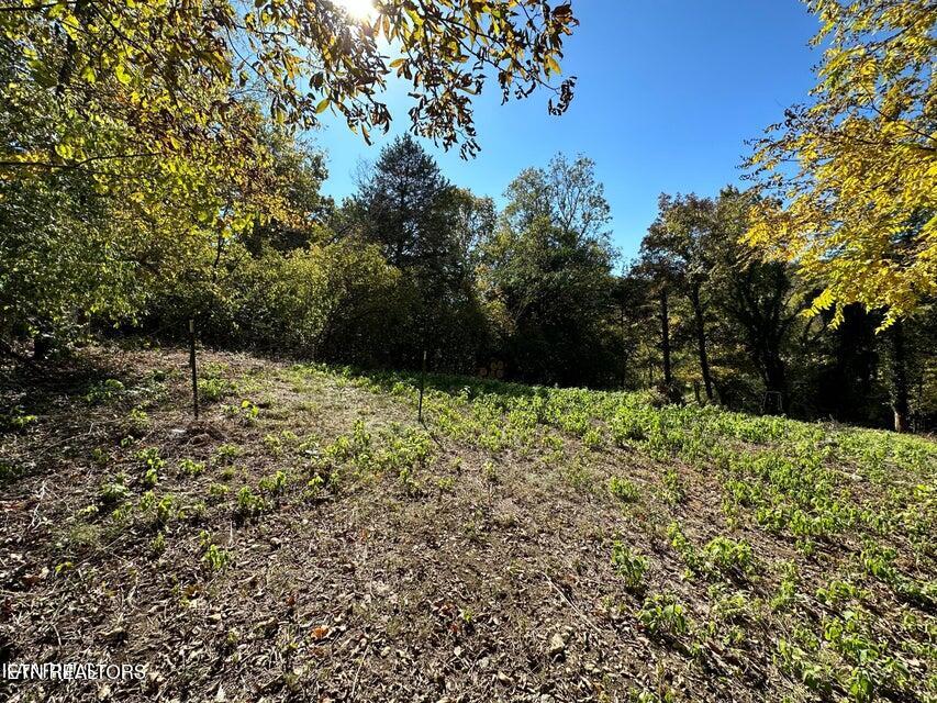 4021 Island Home Pike Knoxville TN 37920
