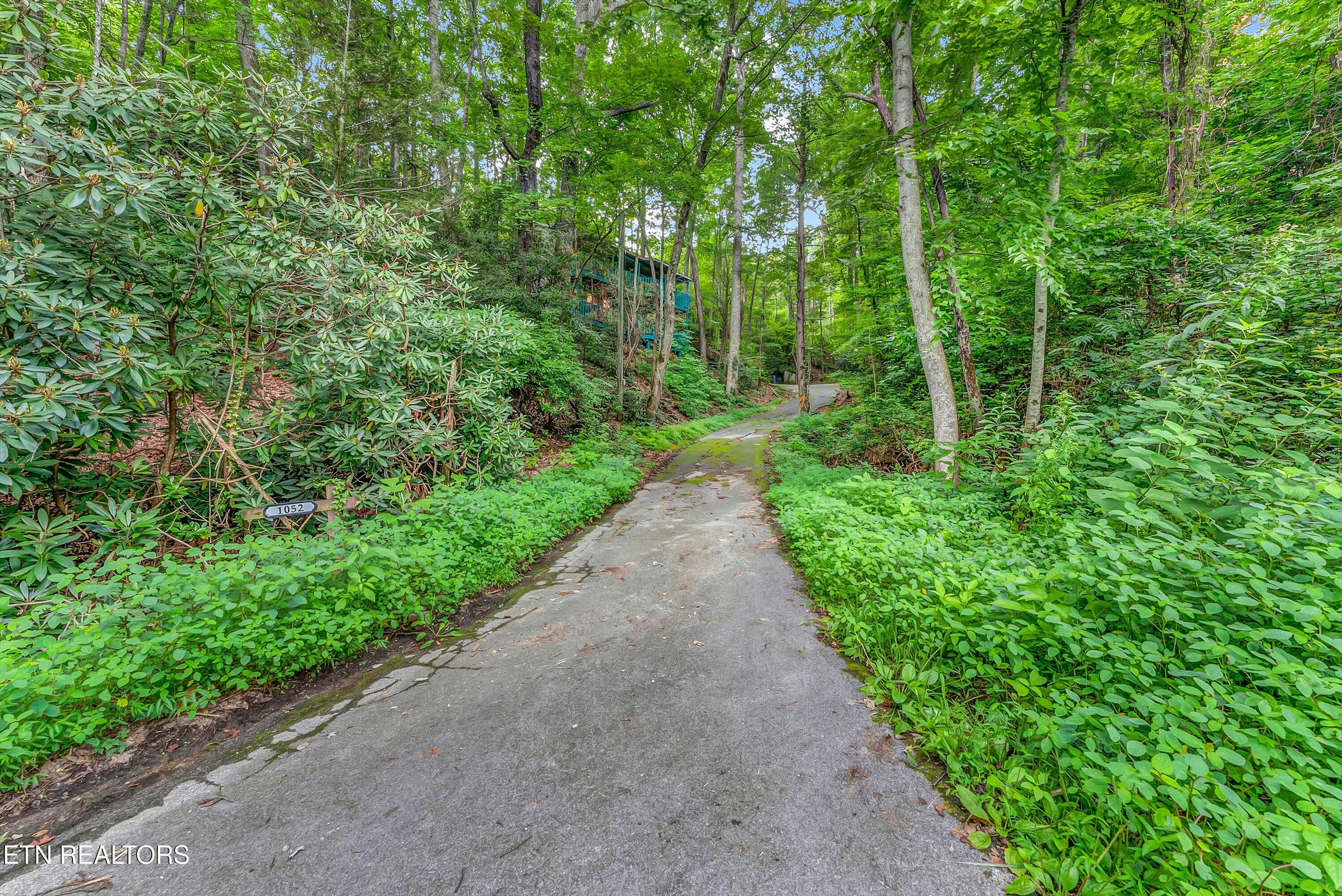 1052 Twin Oaks Road Gatlinburg TN 37738