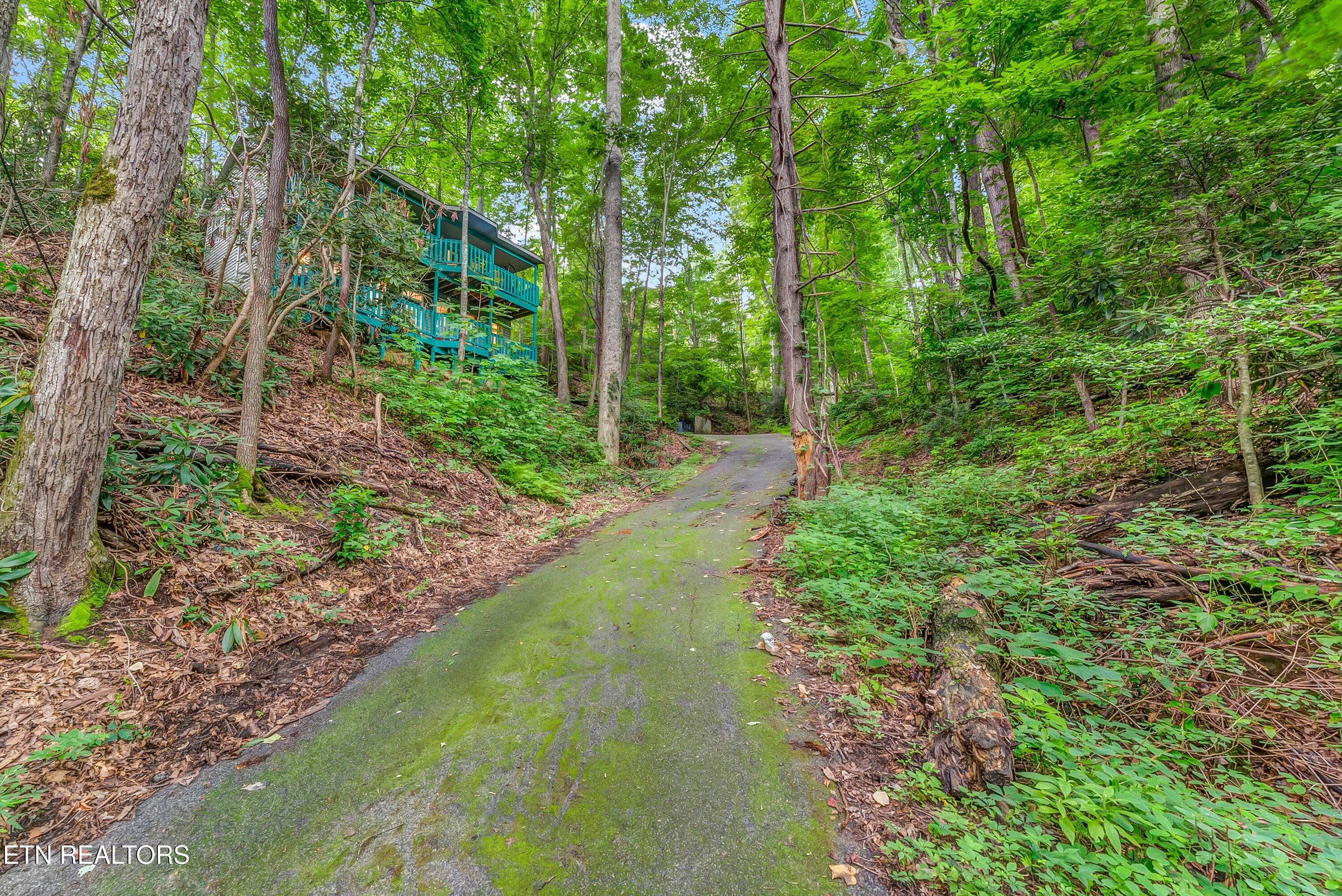 1052 Twin Oaks Road Gatlinburg TN 37738