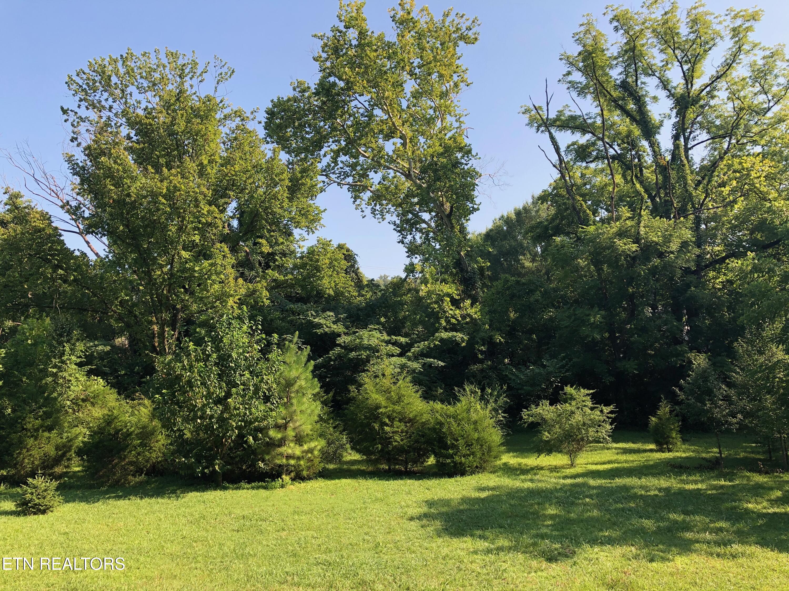 204 S Chilhowee Drive Knoxville TN 37914