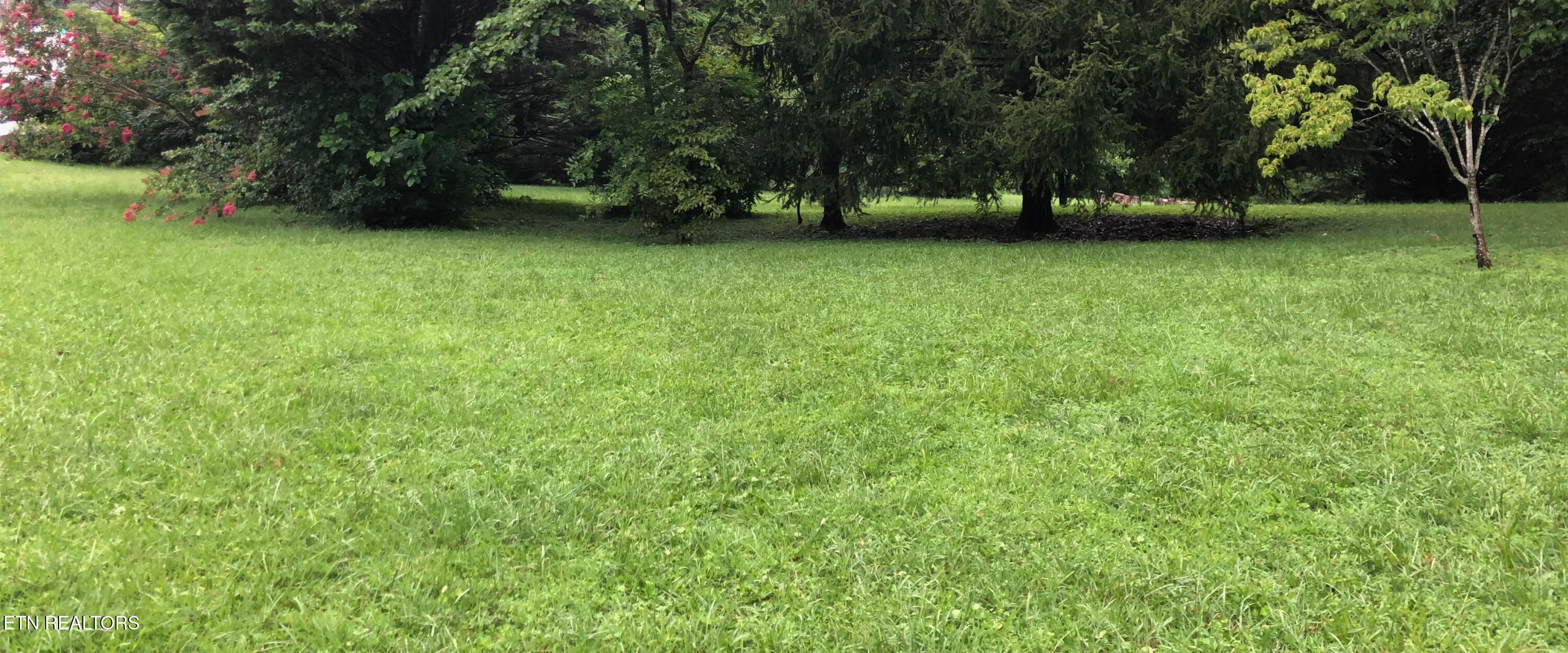 204 S Chilhowee Drive Knoxville TN 37914