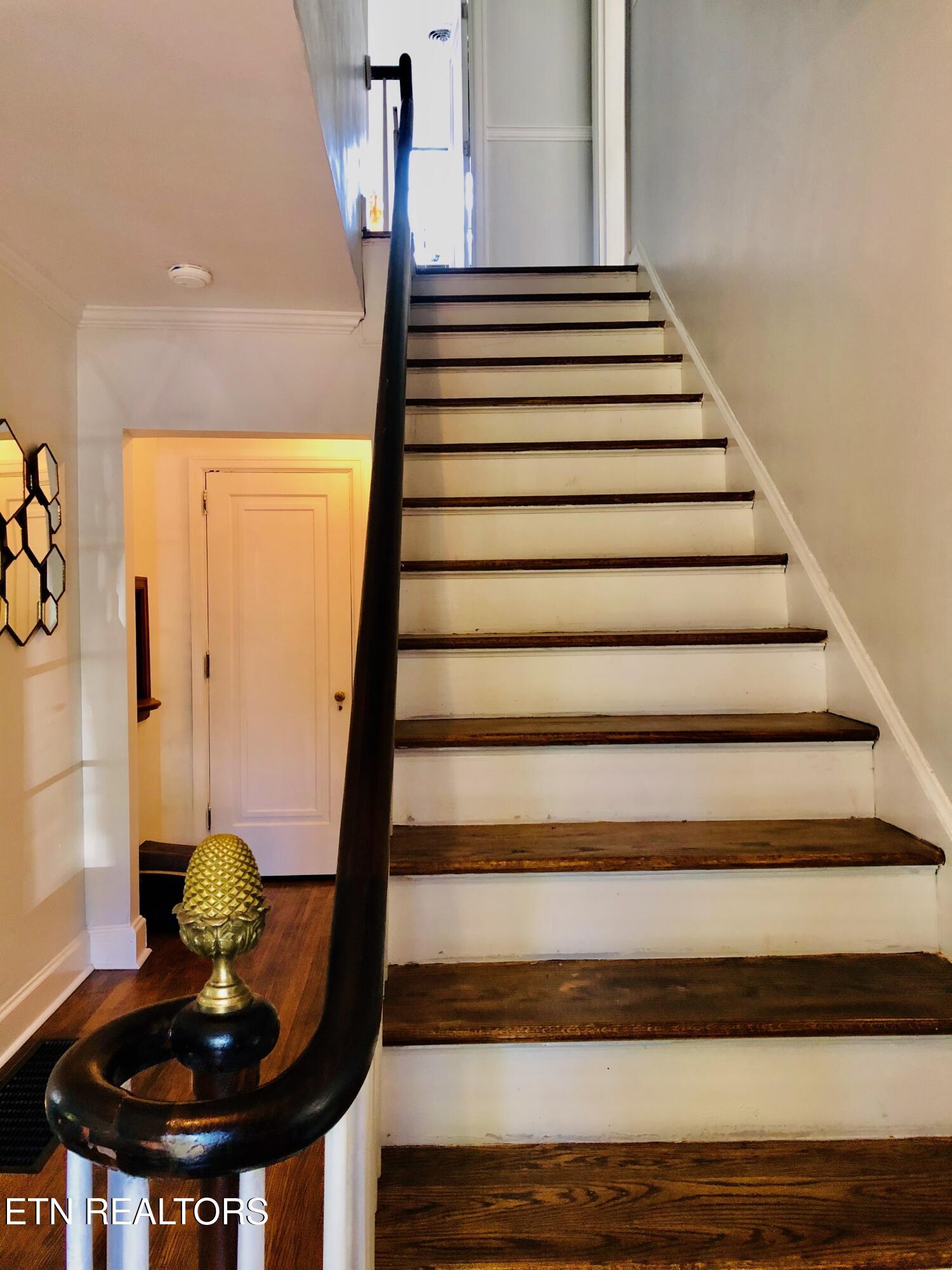 204 S Chilhowee Drive Knoxville TN 37914