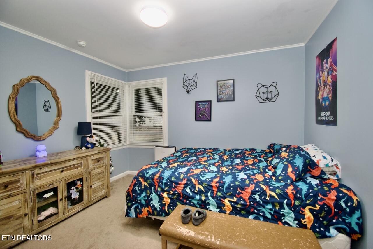 1204 Redwood Avenue Maryville TN 37803