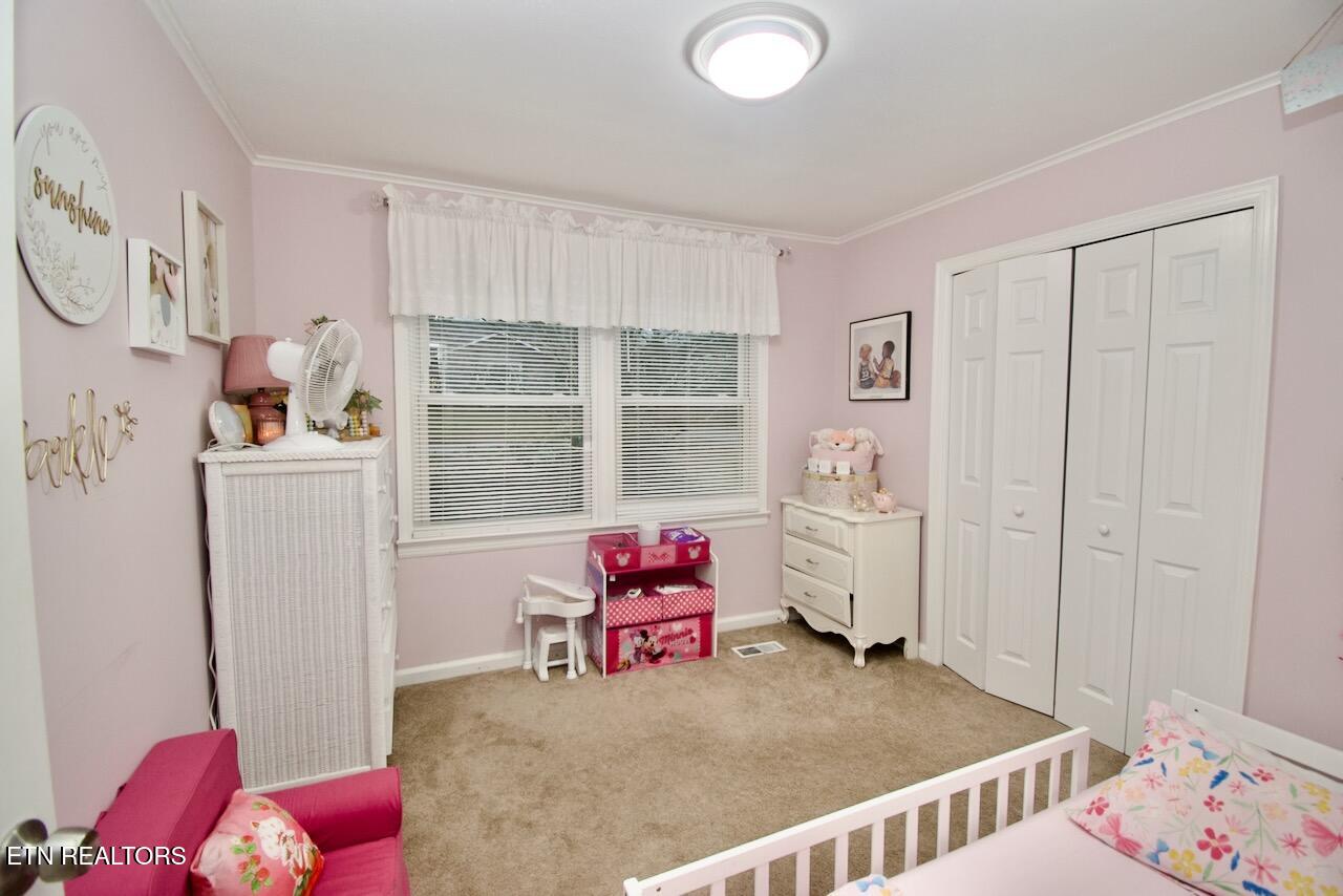 1204 Redwood Avenue Maryville TN 37803
