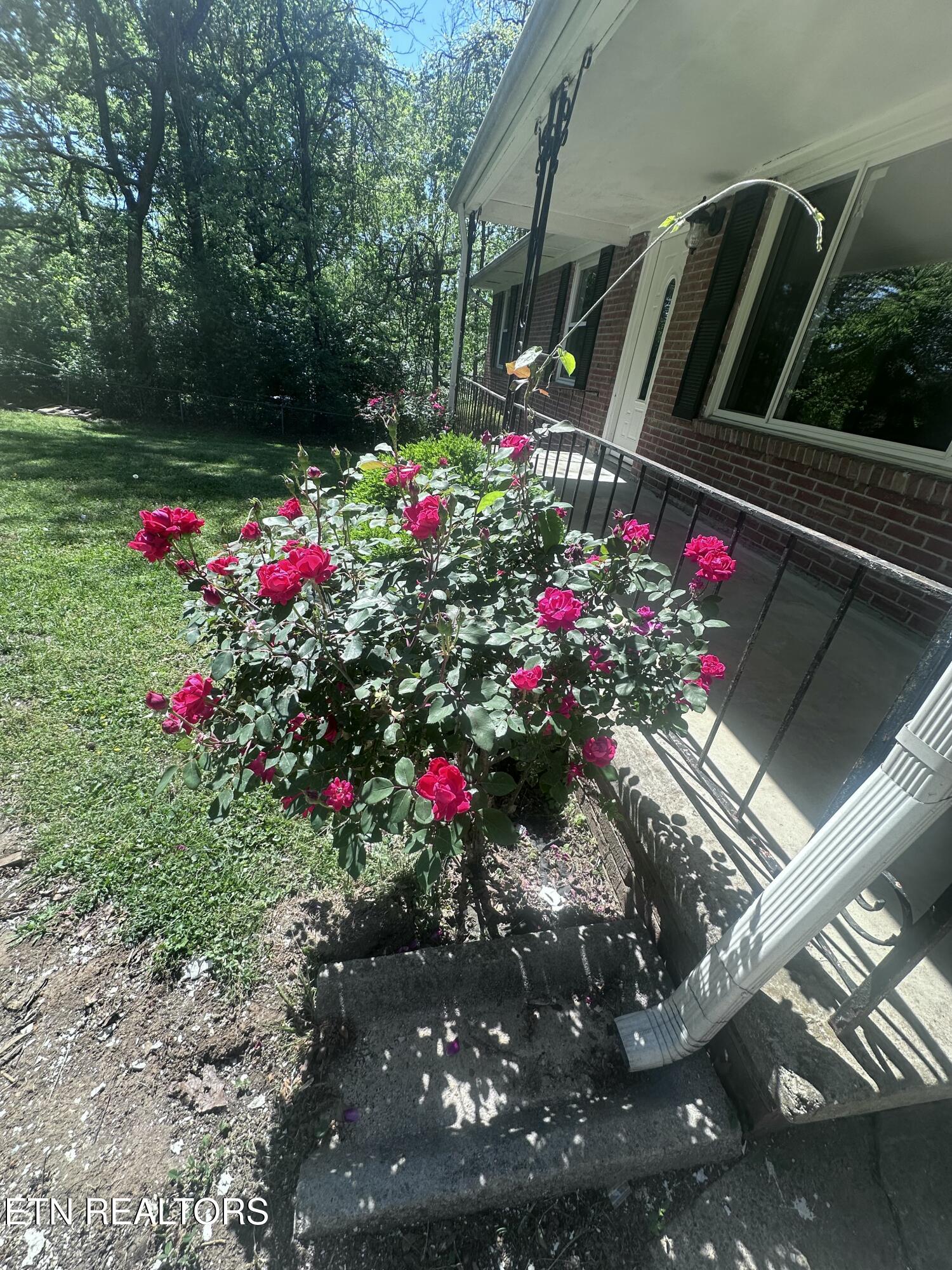 2516 Wayland Avenue Knoxville TN 37914