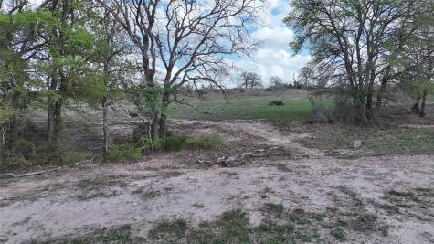 Tbd Fm 2440 Giddings TX 78942