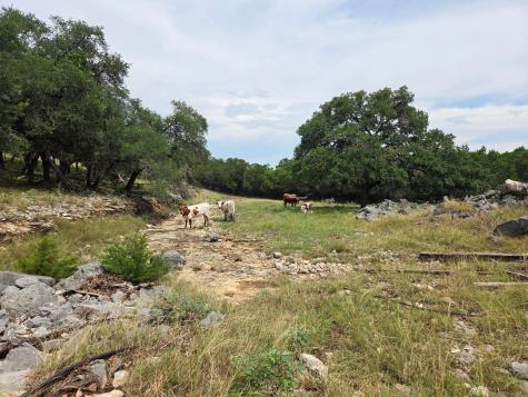 27846 Natural Bridge Caverns Road San Antonio TX 78266