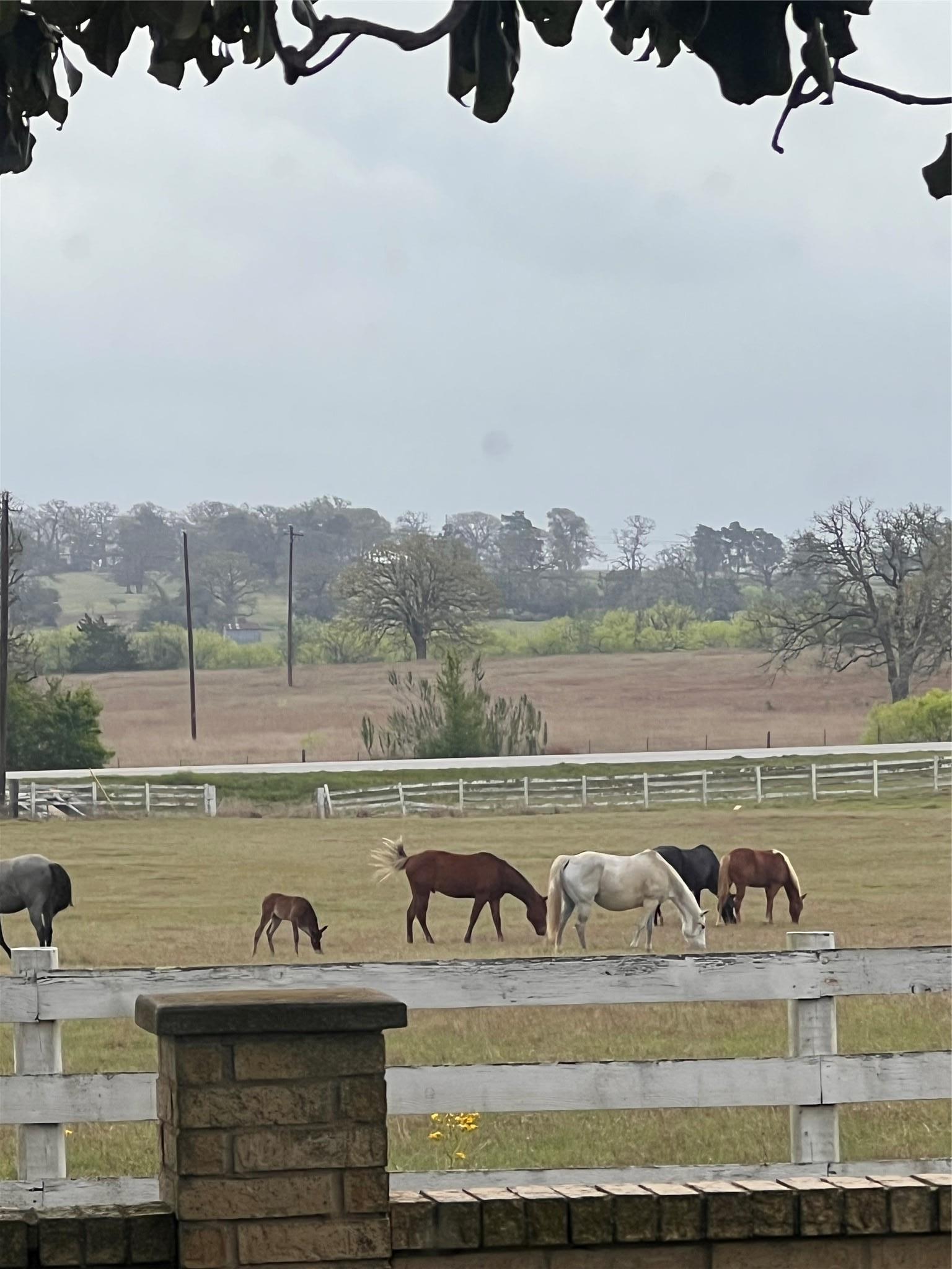 2502 Highway 304 Smithville TX 78957