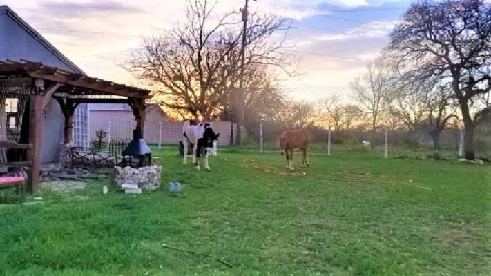 6514 W Highway 190 Belton TX 76513
