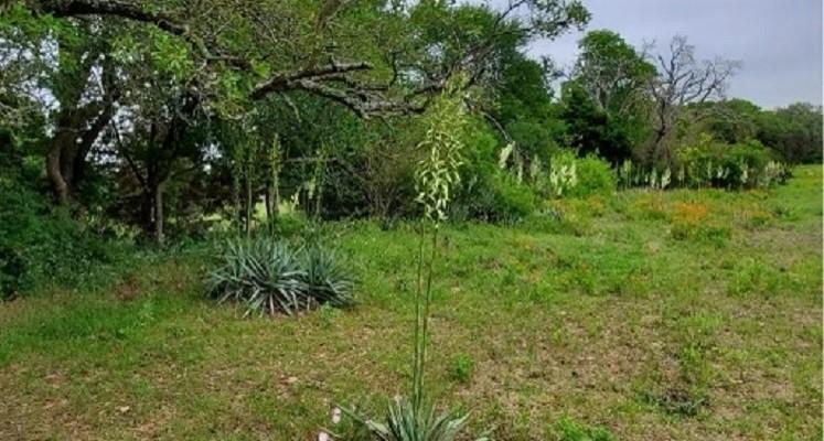 6514 W Highway 190 Belton TX 76513