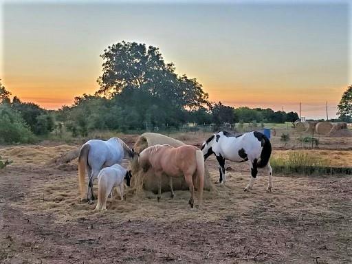 6514 W Highway 190 Belton TX 76513