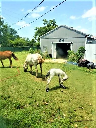 6514 W Highway 190 Belton TX 76513