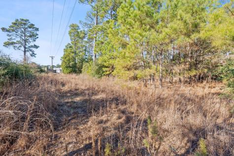 Lot 65 State Highway 21 Bastrop TX 78602