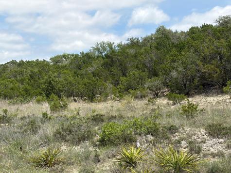 4213 Crawford Road Spicewood TX 78669