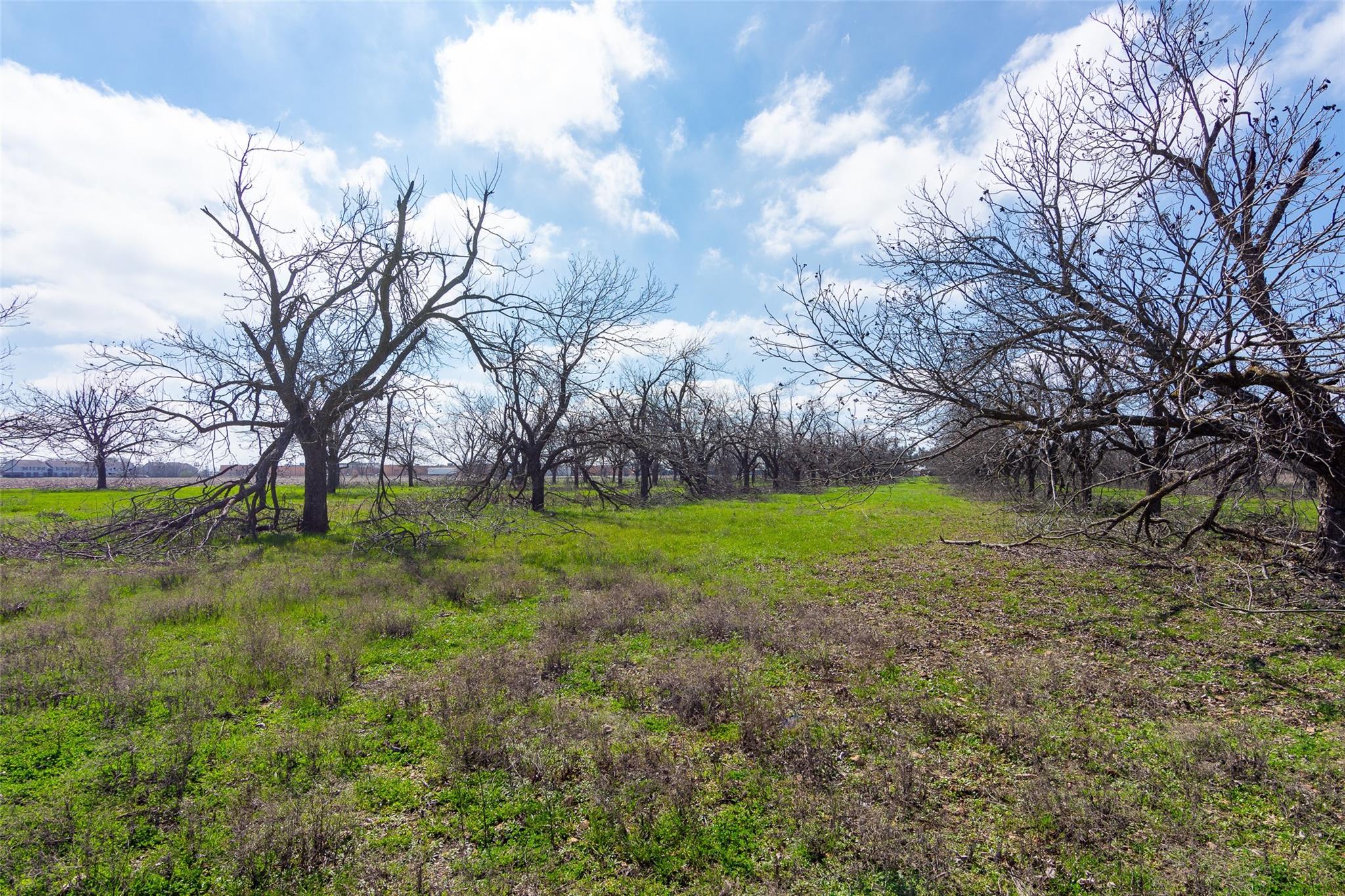 3310 N Main Street Taylor TX 76574
