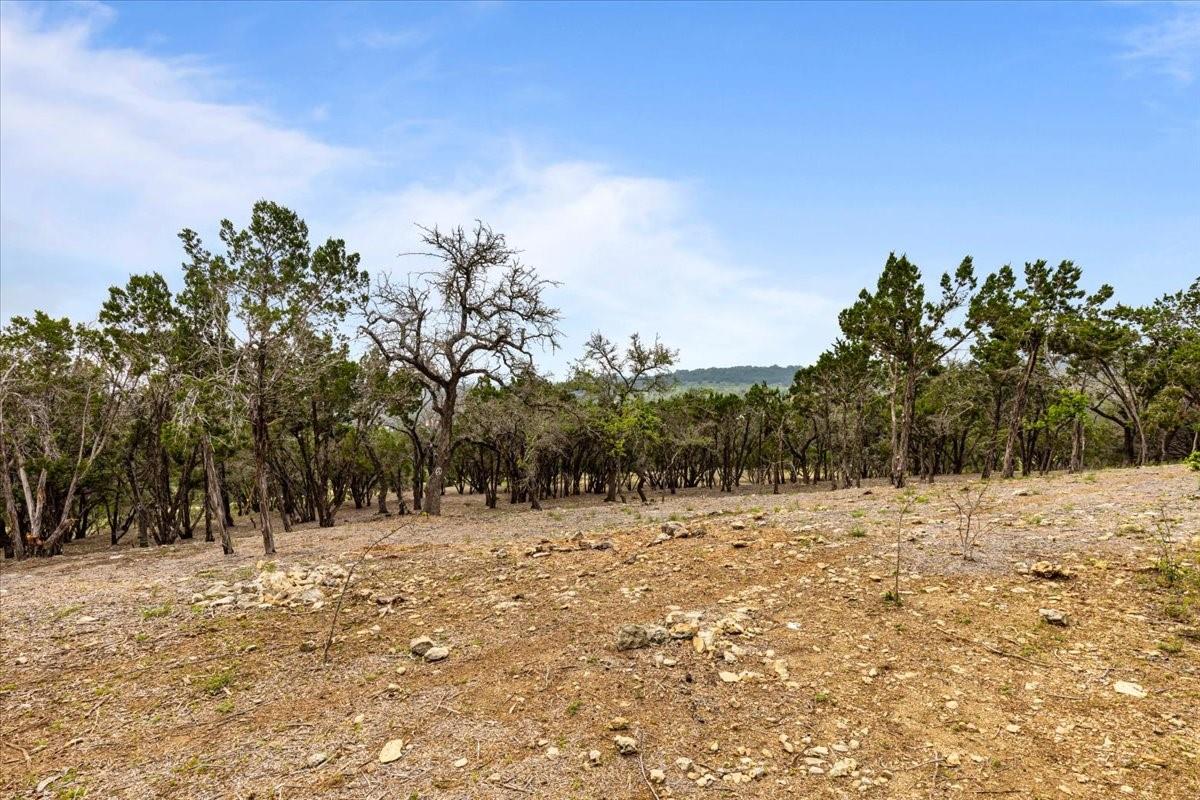 4519 Crawford Road Spicewood TX 78669