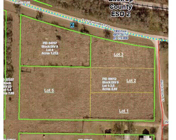 Tbd. Burleson Street Paige TX 78659